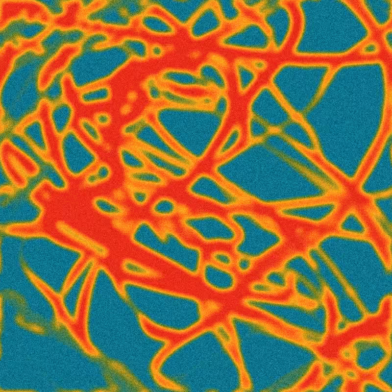 Rhizome #11
