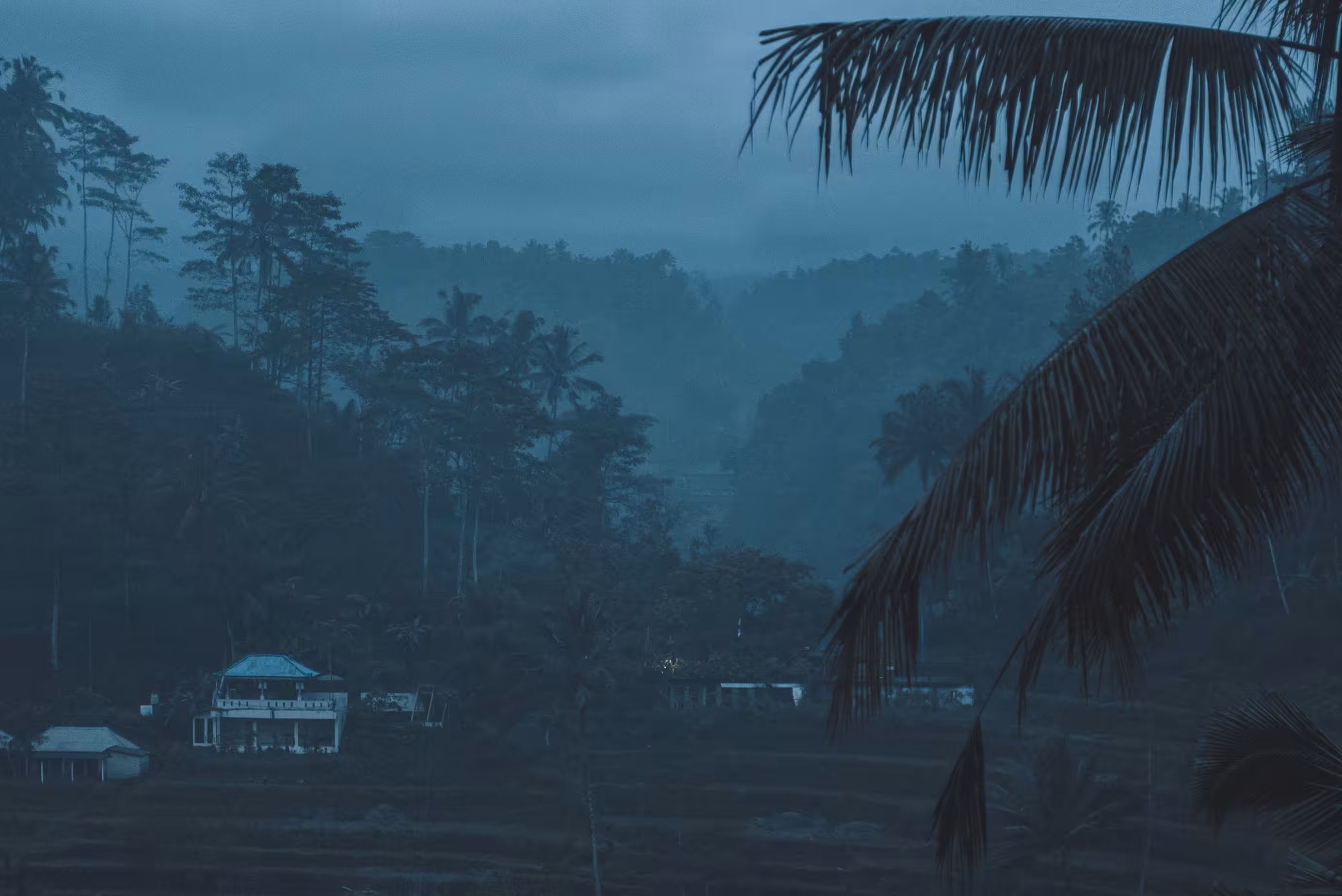 Gloom