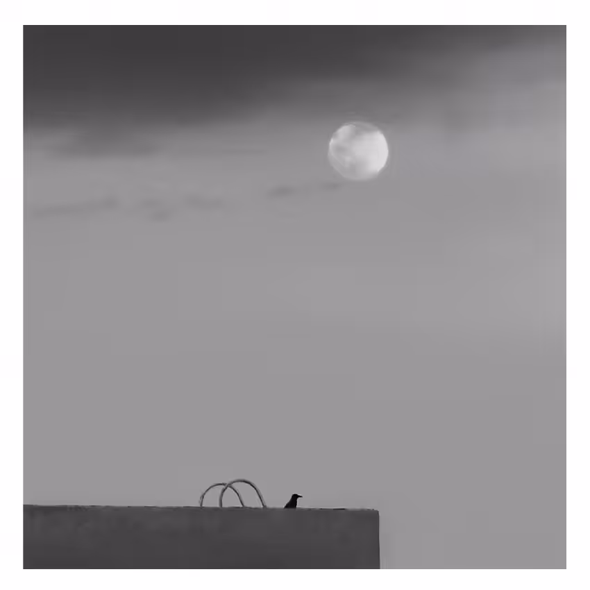 The crow and the moon