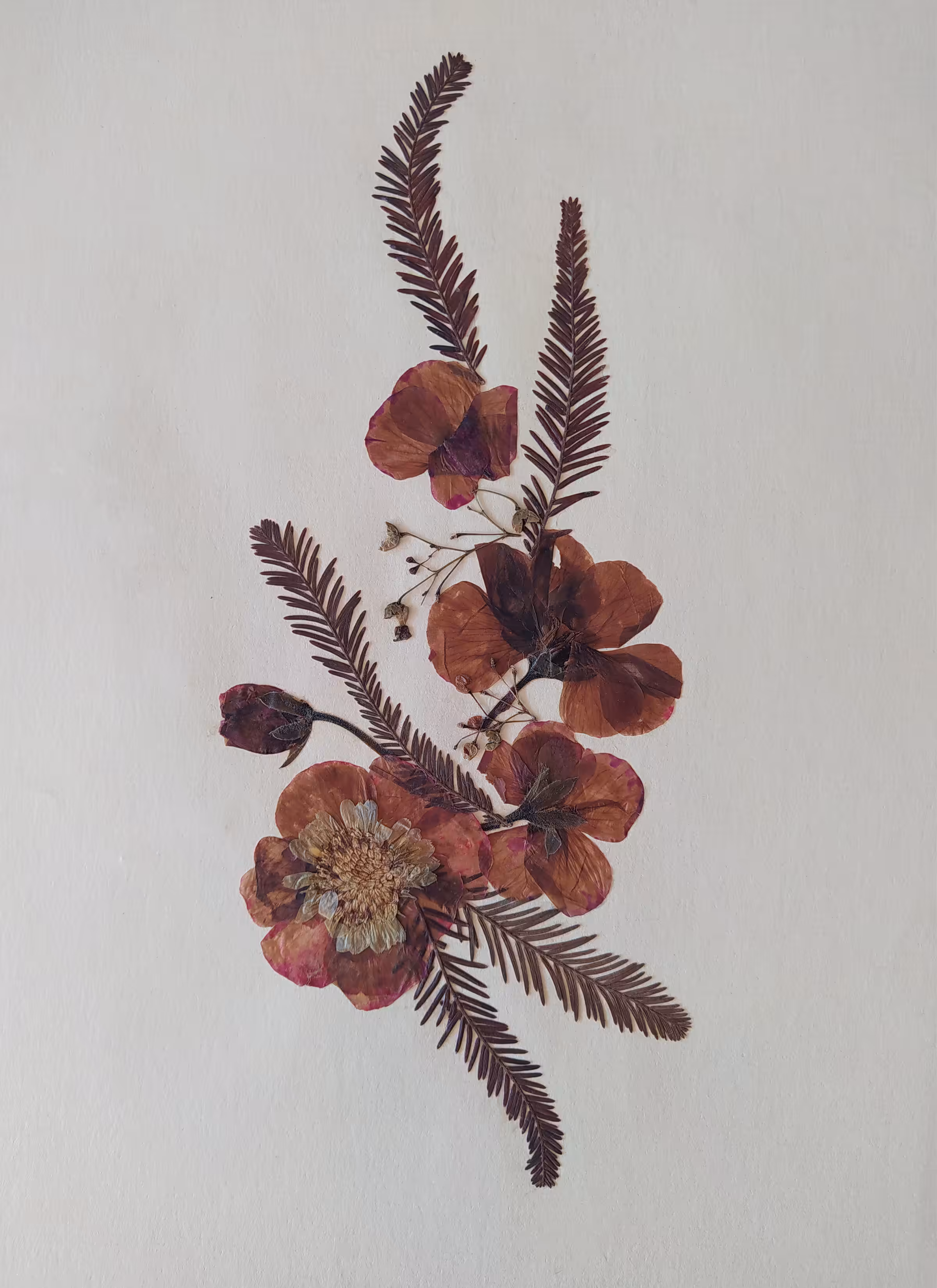 Still life n.02