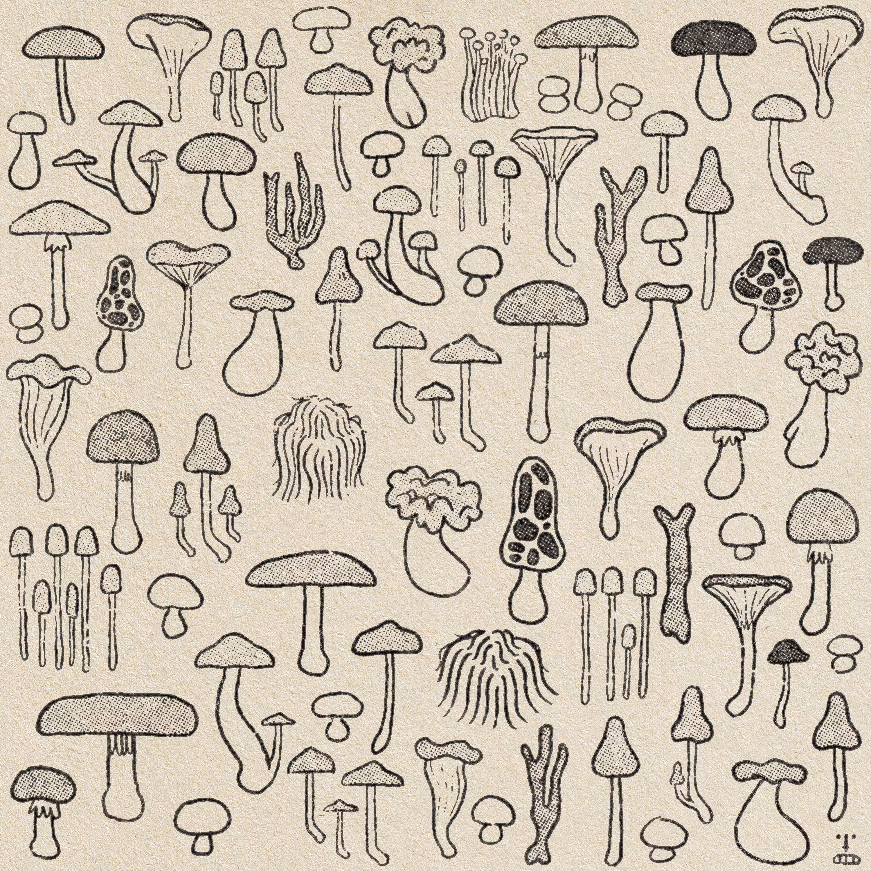 The Fungus Among Us Bonus