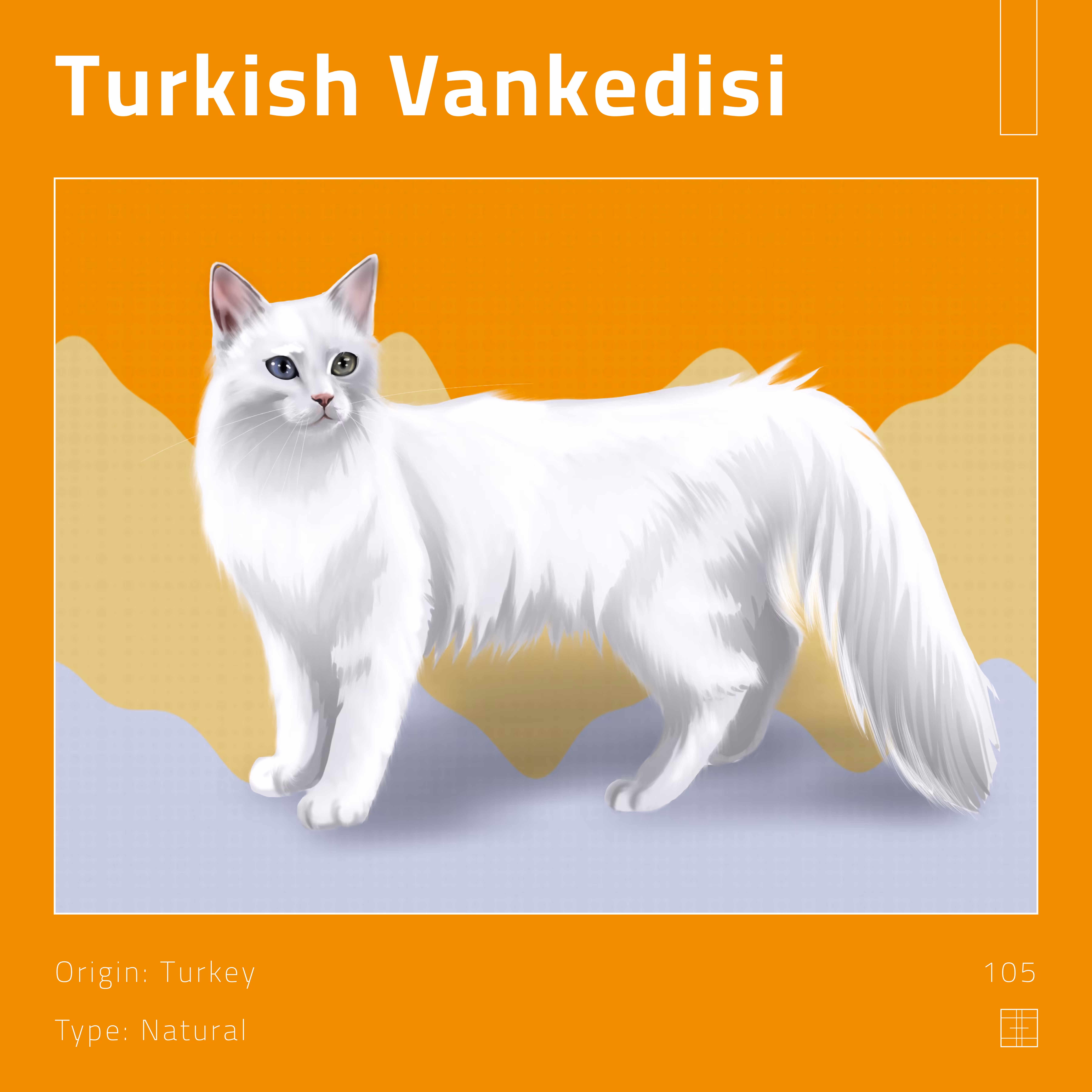 105 – Turkish Vankedisi