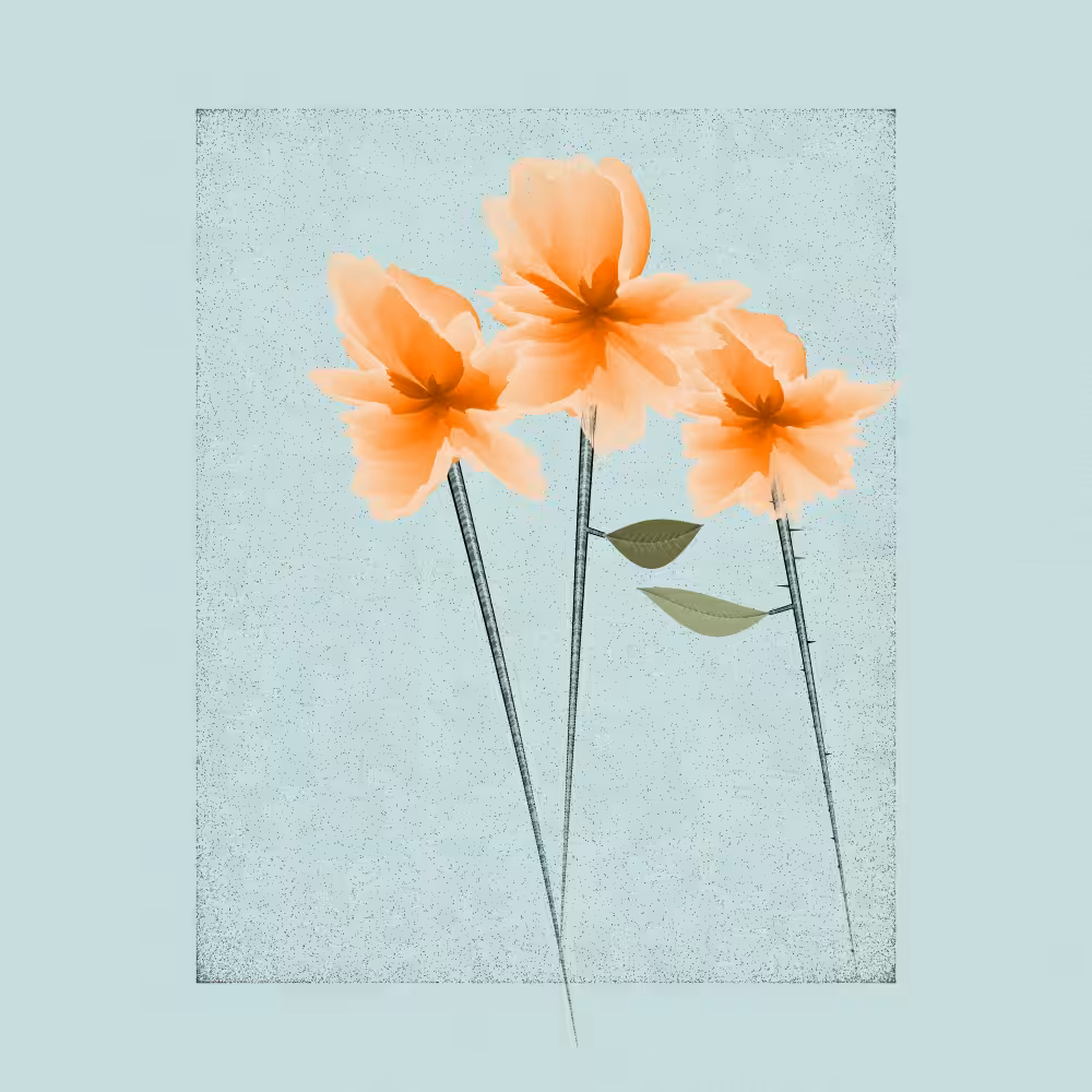 Magnolia #78