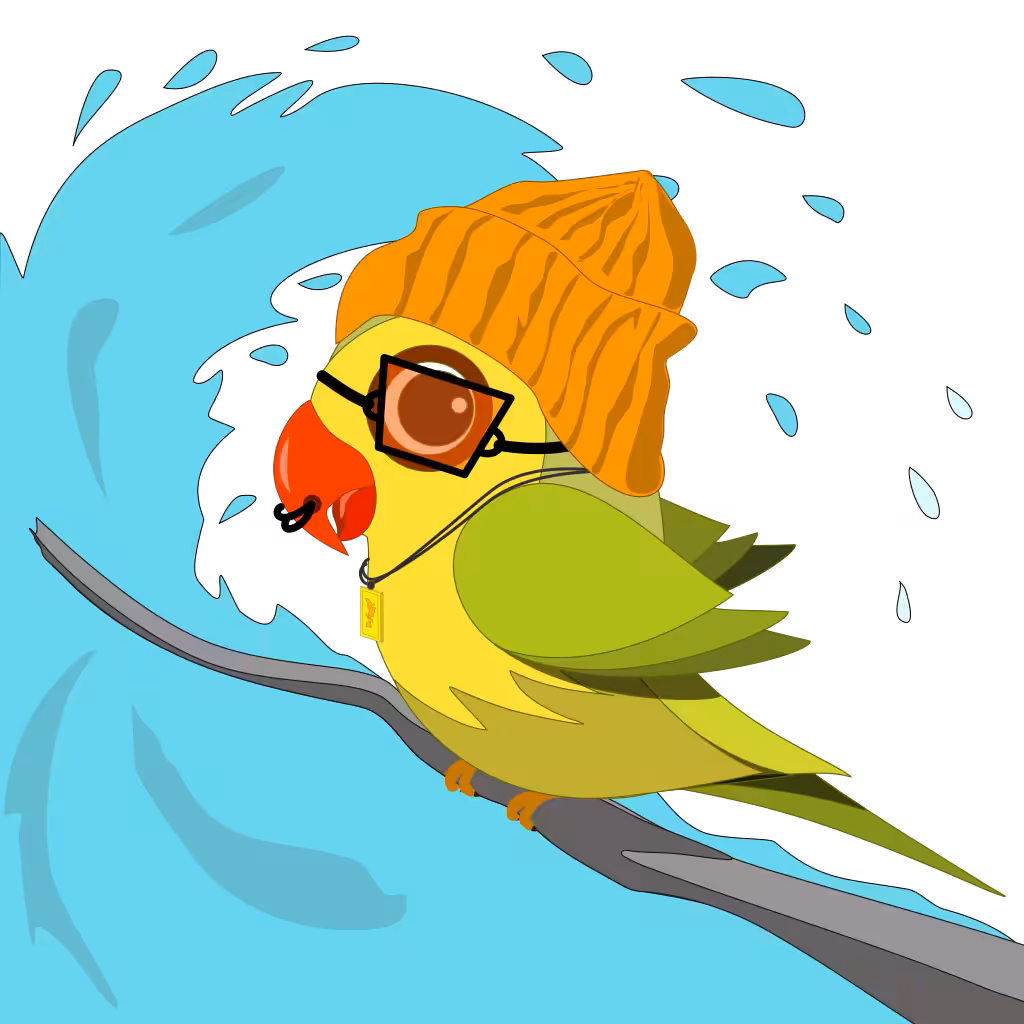 All season birdy #1