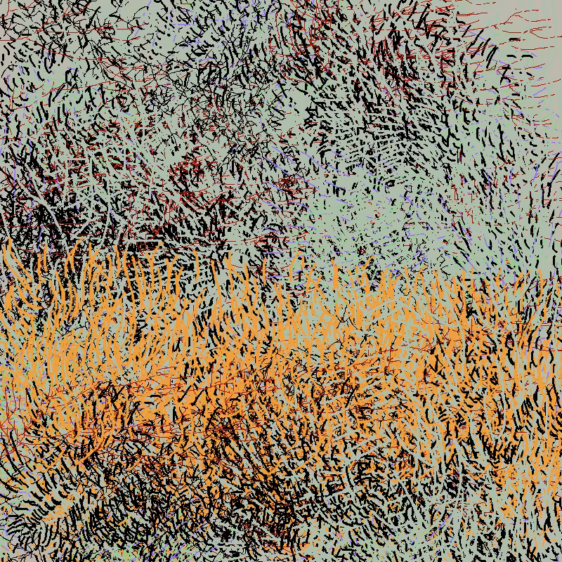 a bird worked on my painting #7
