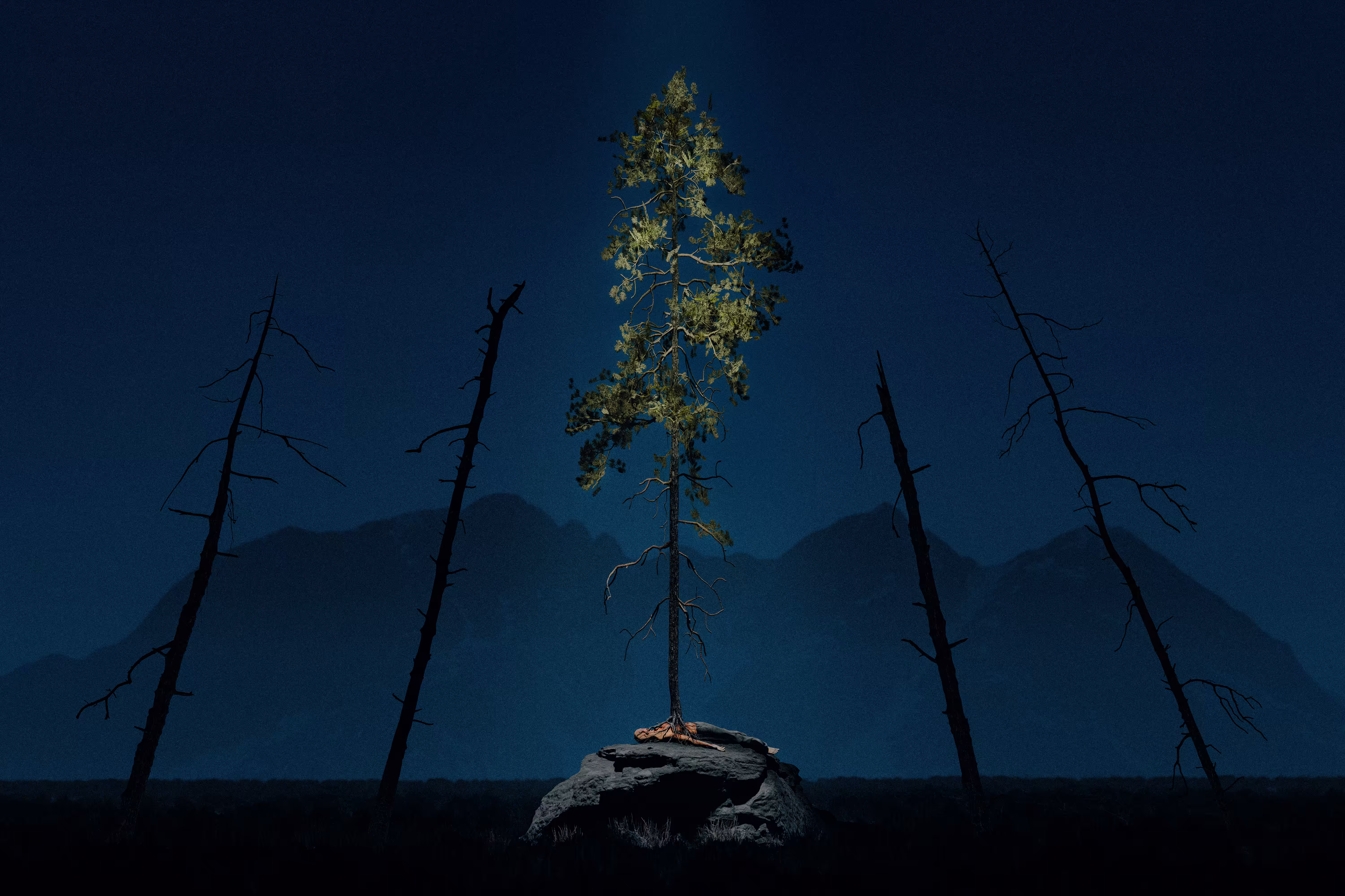 Outgrowth