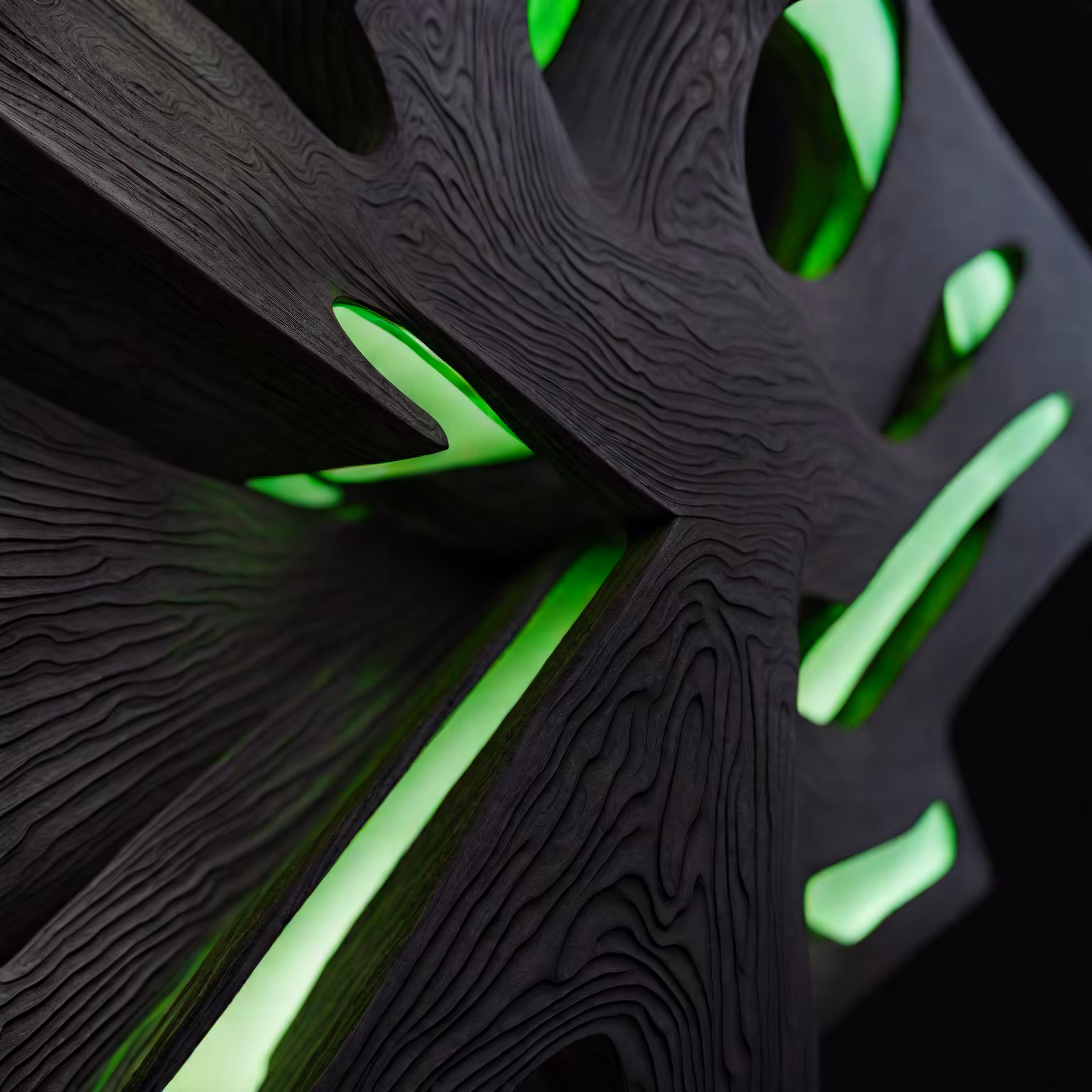 Wood Dragon Fractals #39