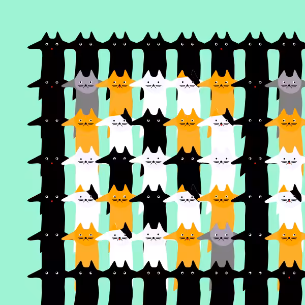 The Catsssss #7