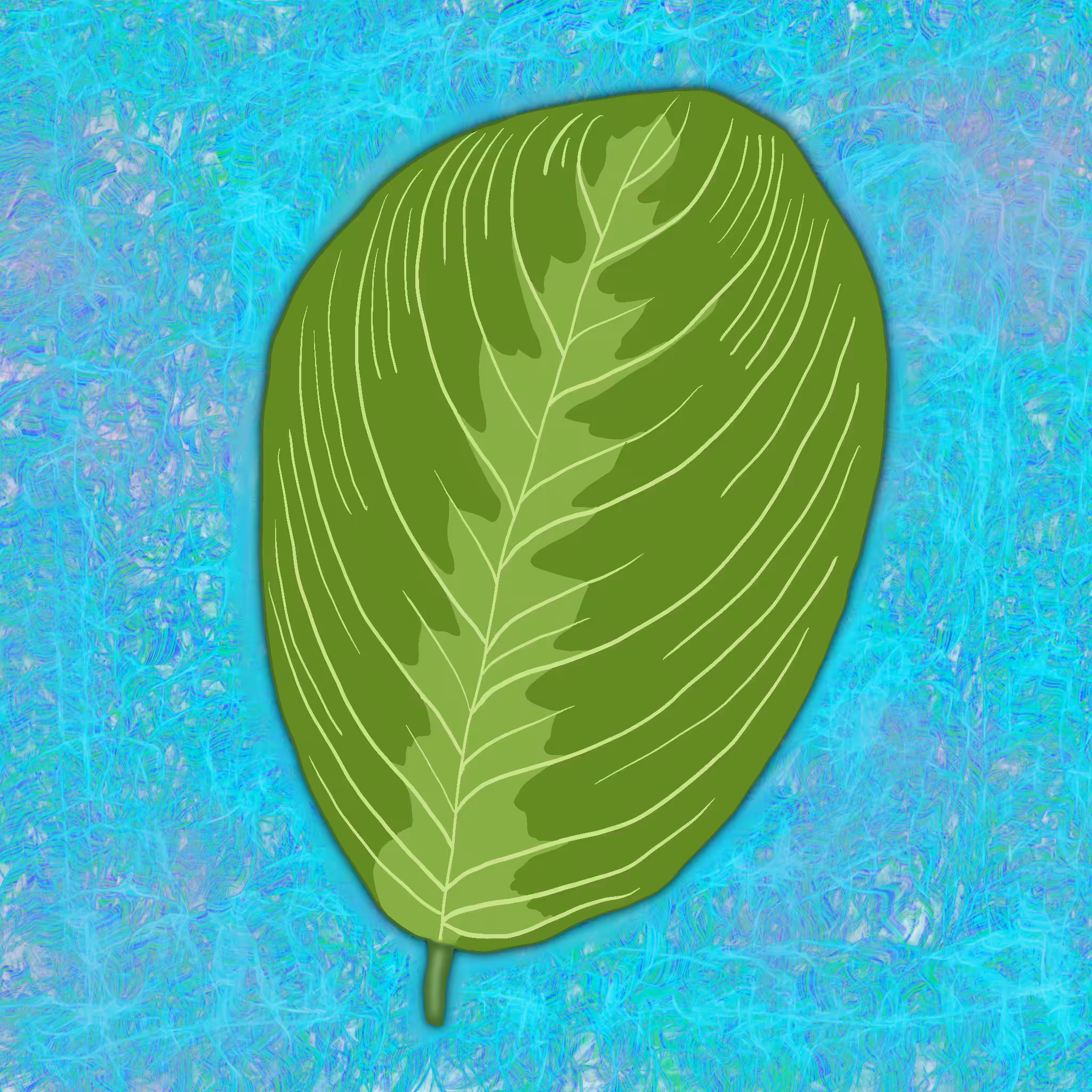 #6 / lemon lime maranta
