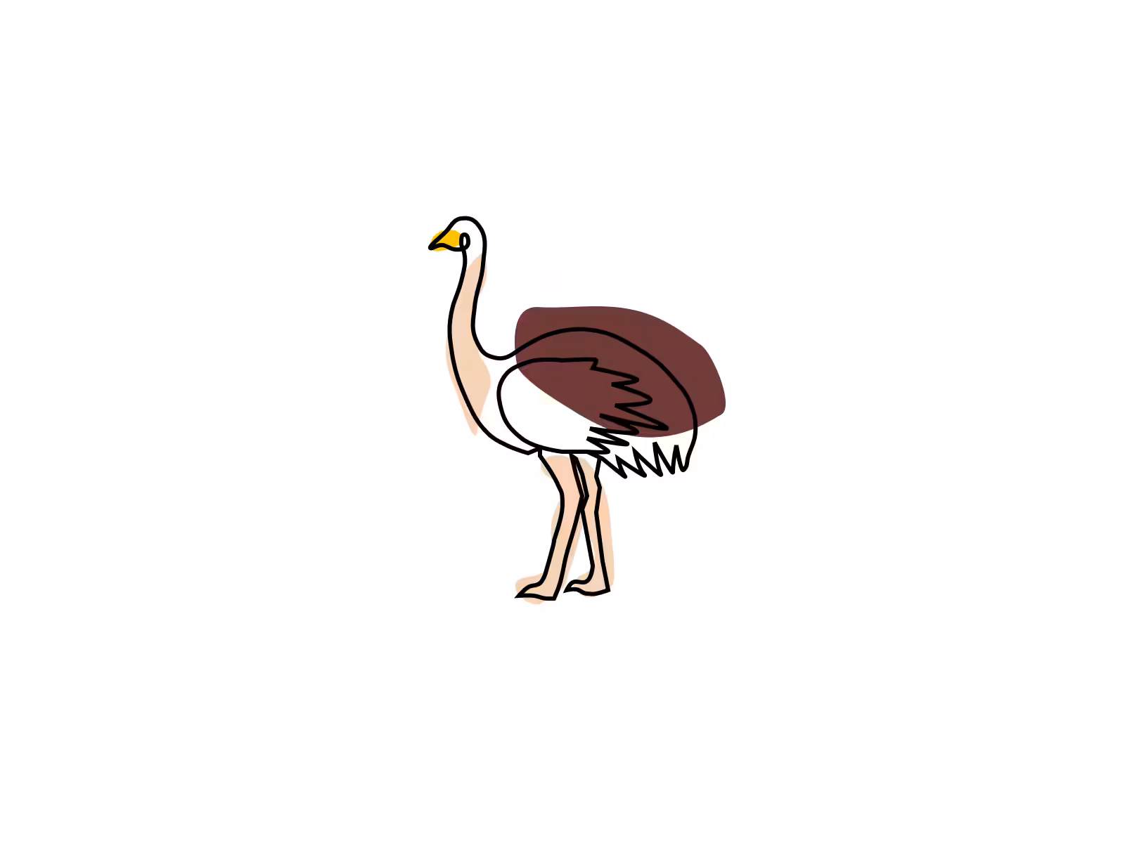 Ostrich