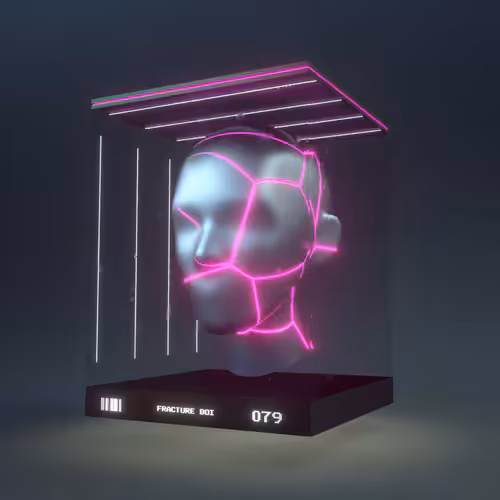 Fracture Boi: FRACTURE BOI - 079