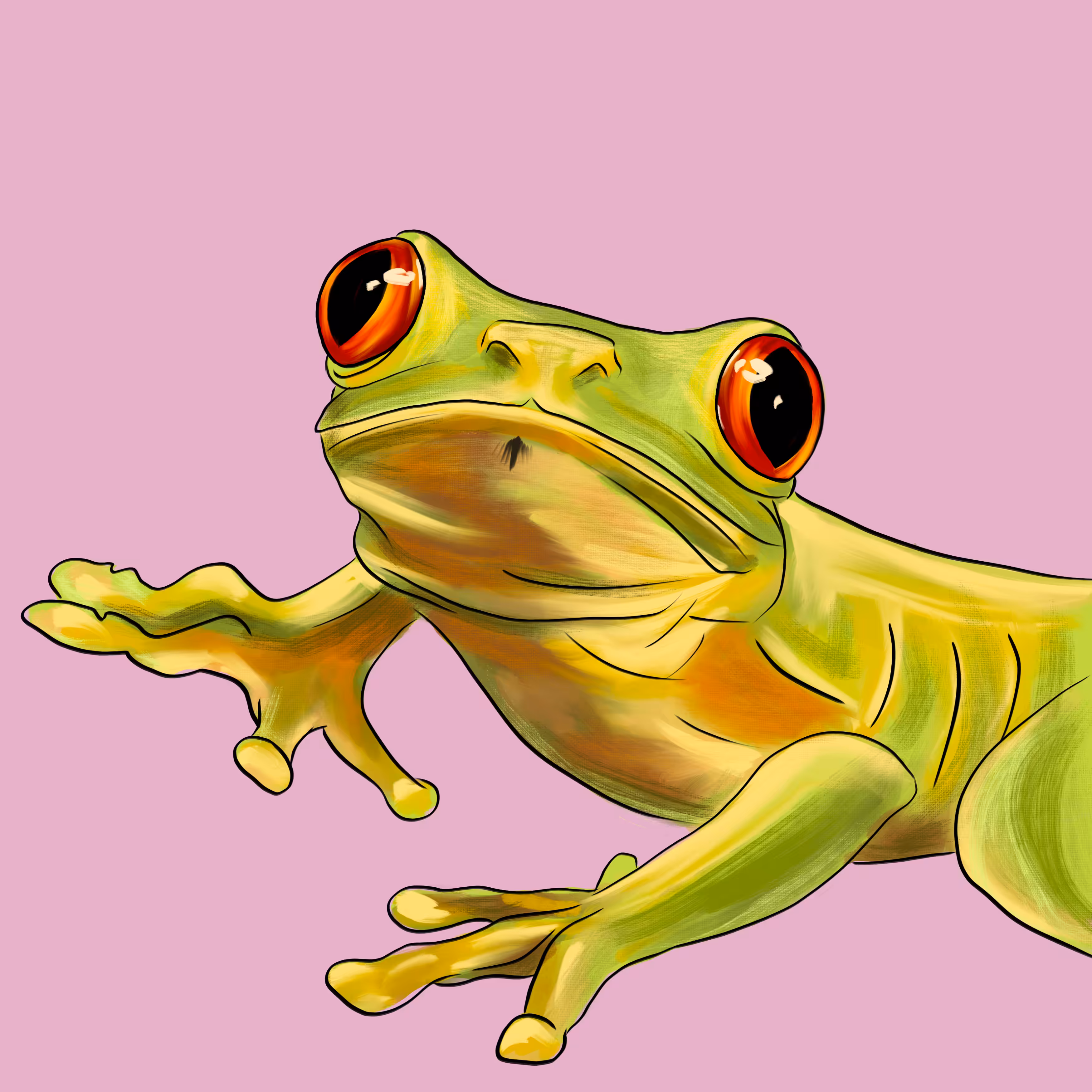 fxFrog #41