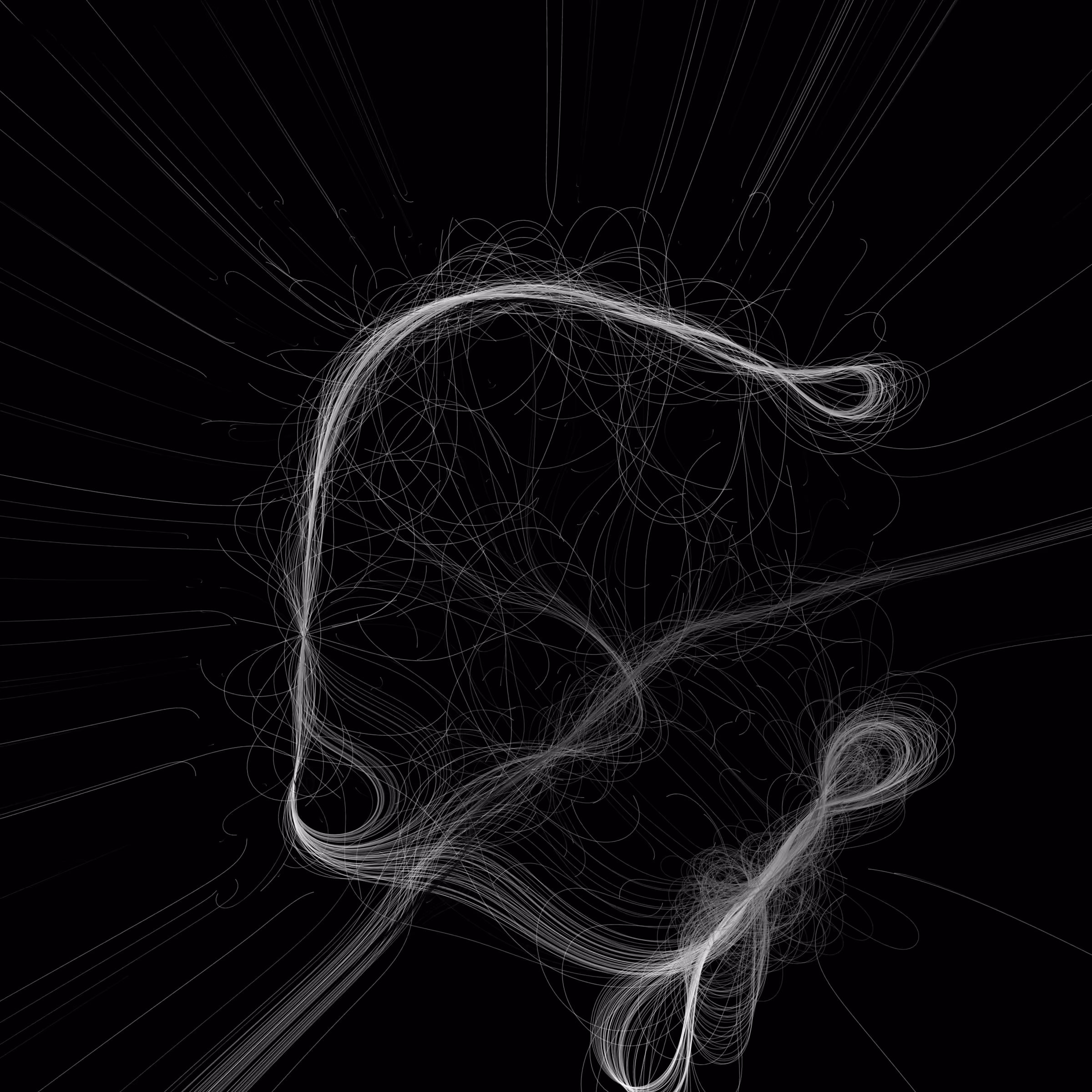 Phototaxis #129