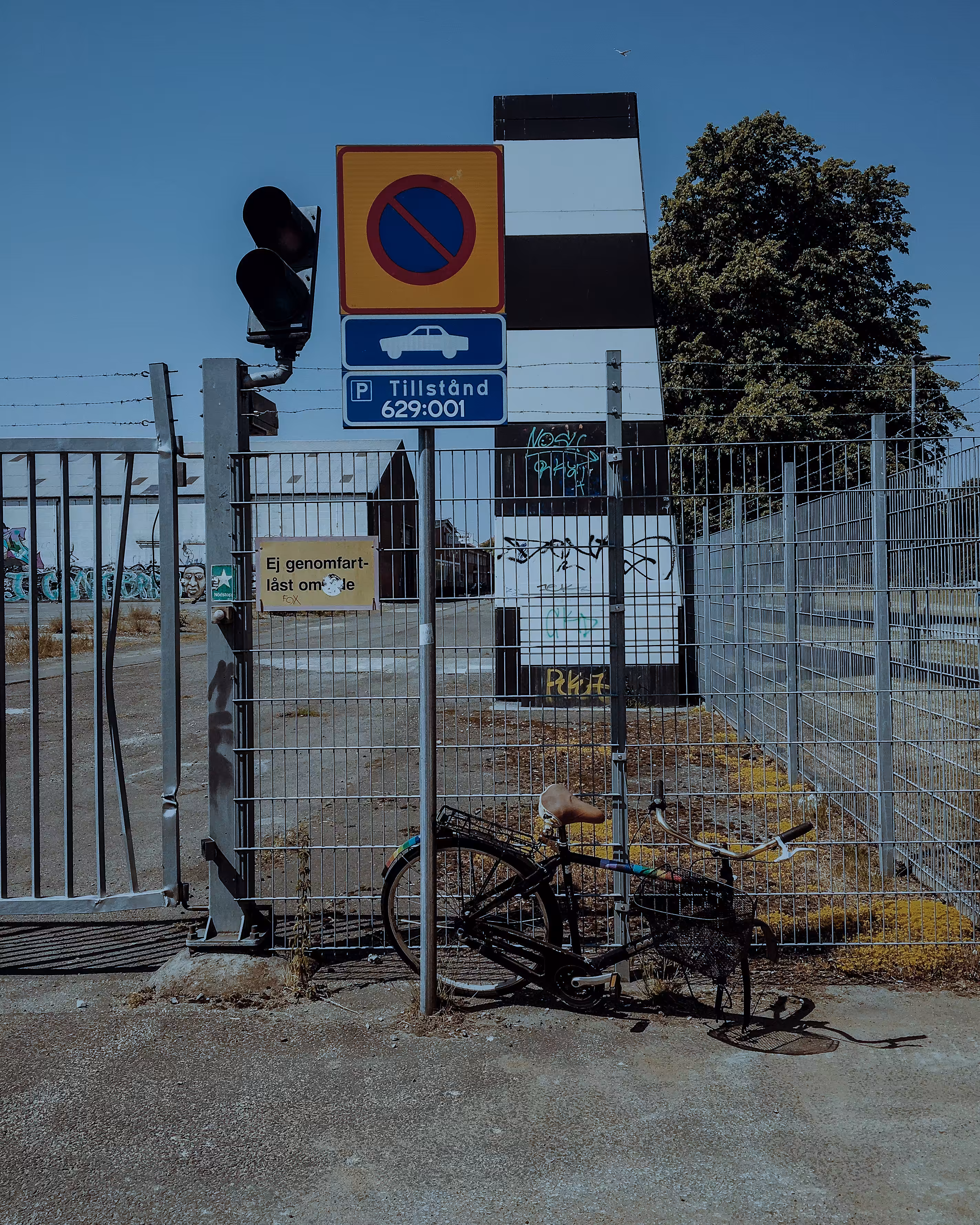 everywhere: bicicleta 