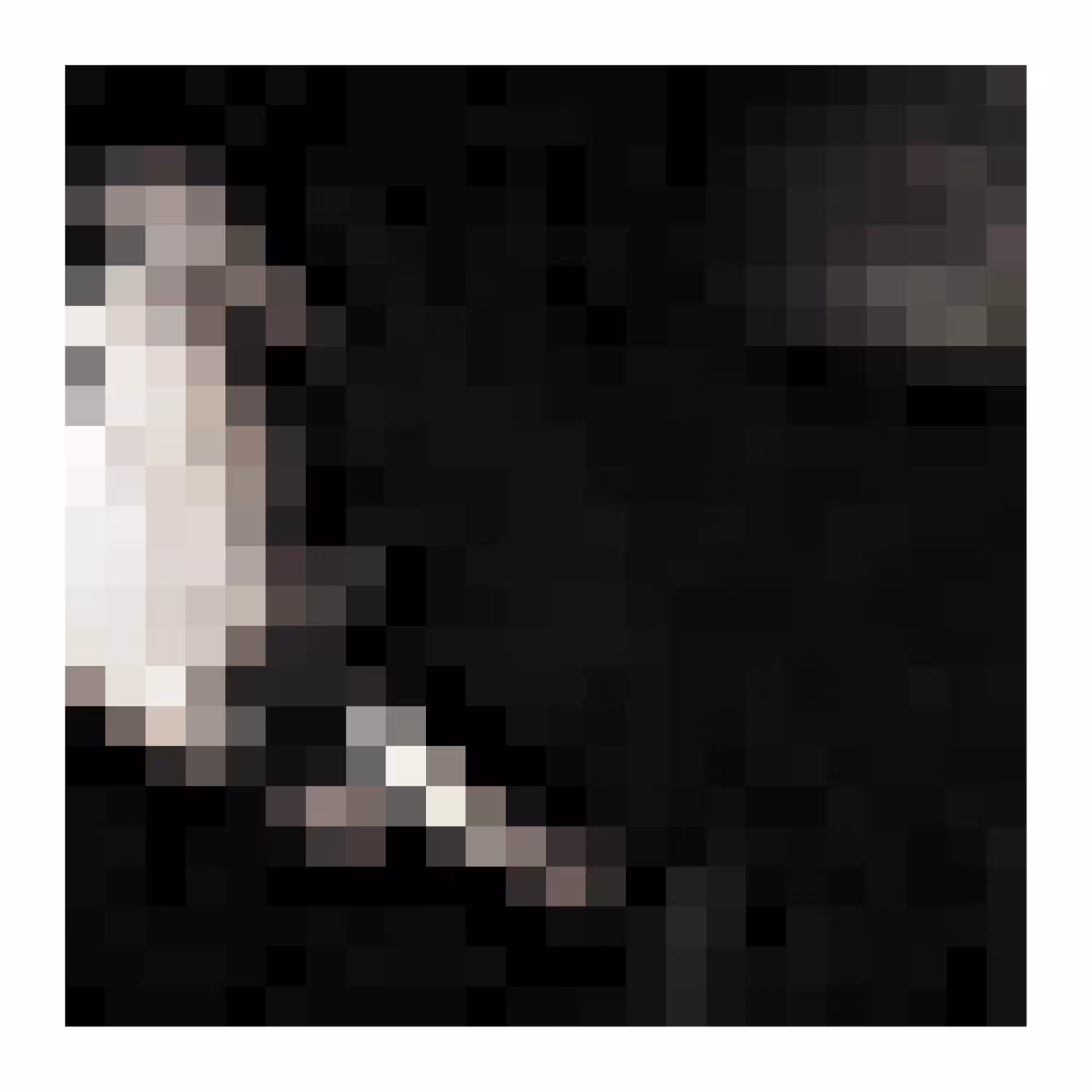 T H E H O R R O R