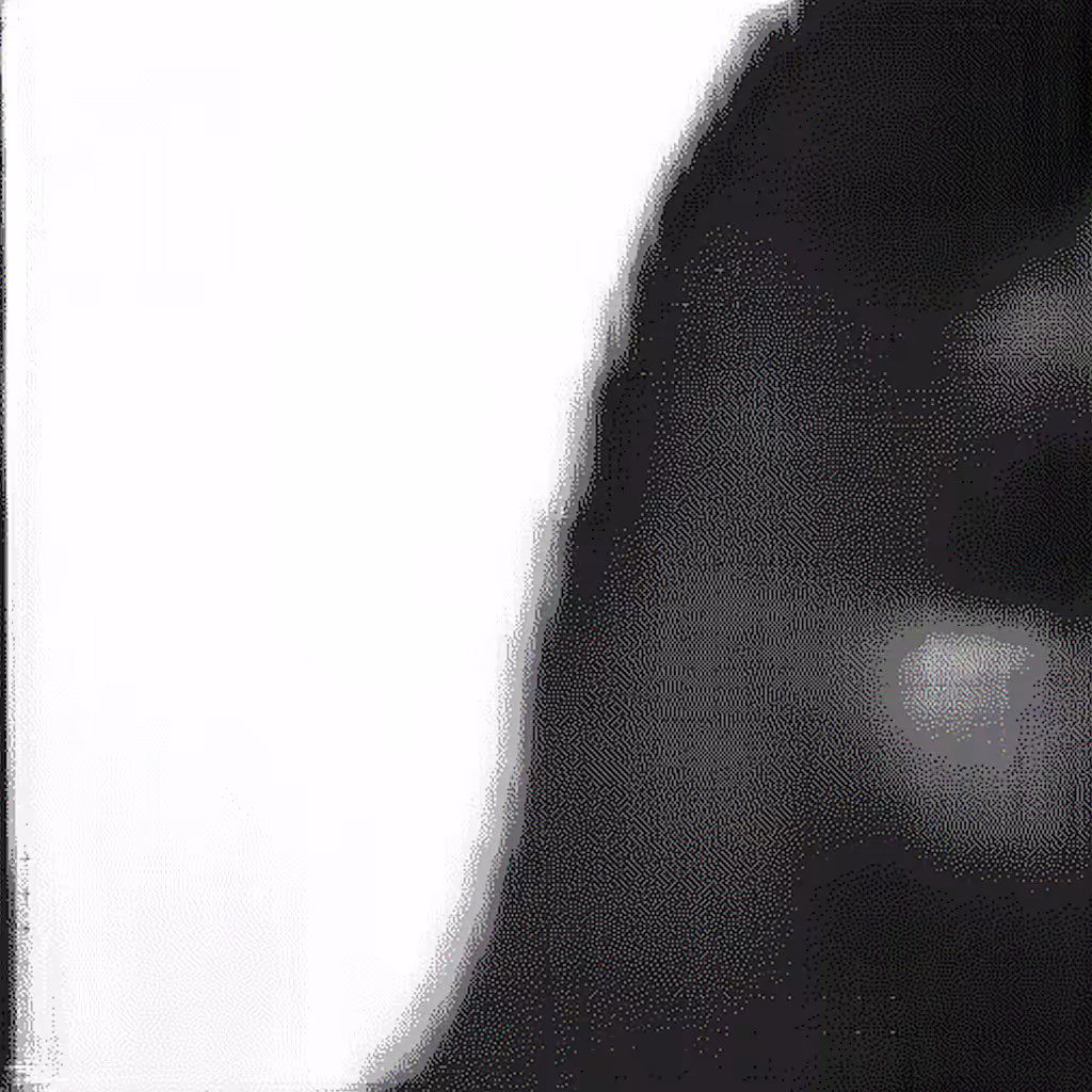 S.E.I.M.C.A: Something Exquisite #13