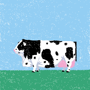 cow #10