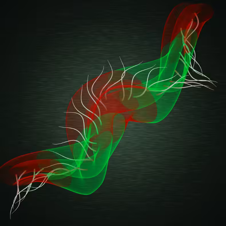 Flimsy #15