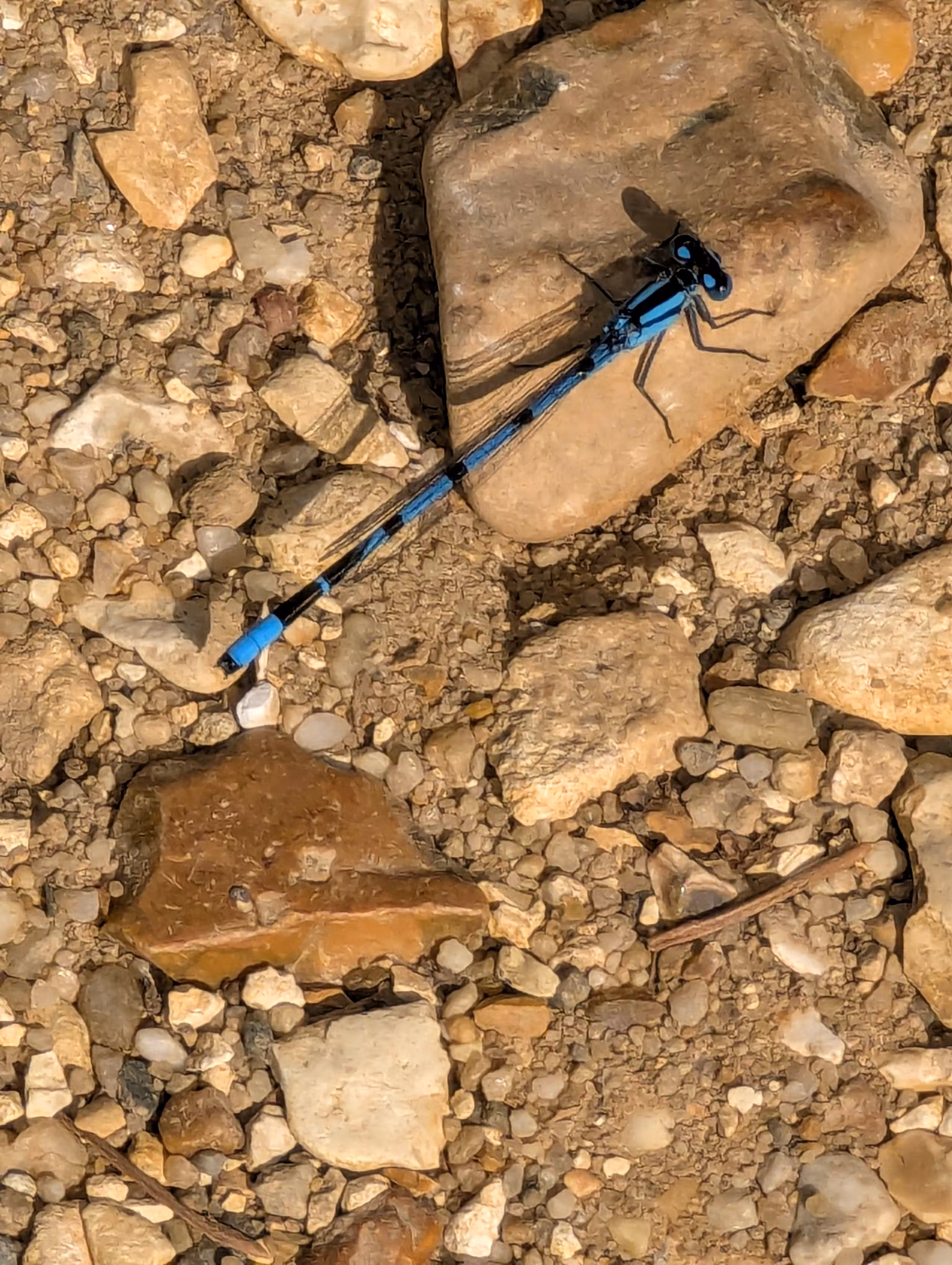 Luke_0x1 Photography : Damsel not in distress