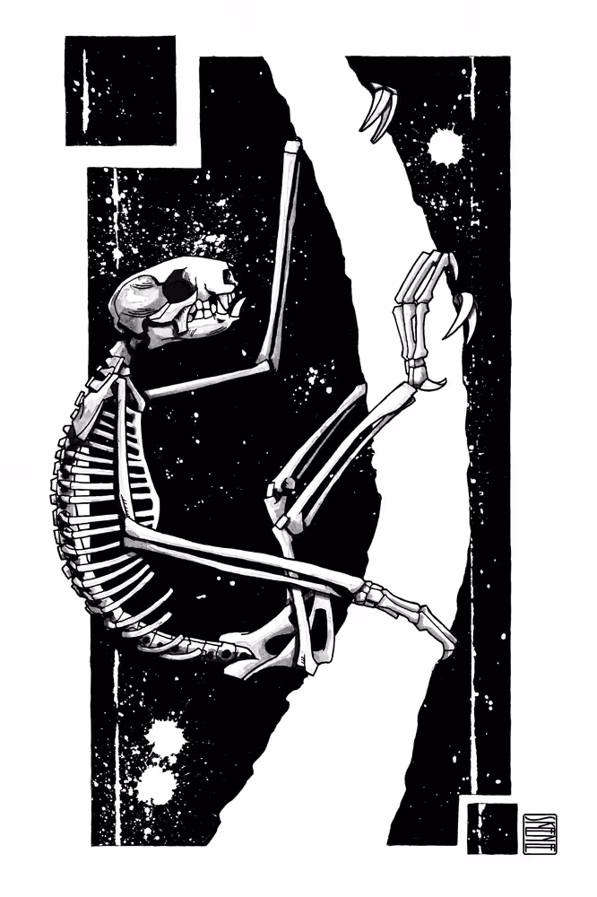 Sloth Skeleton Study