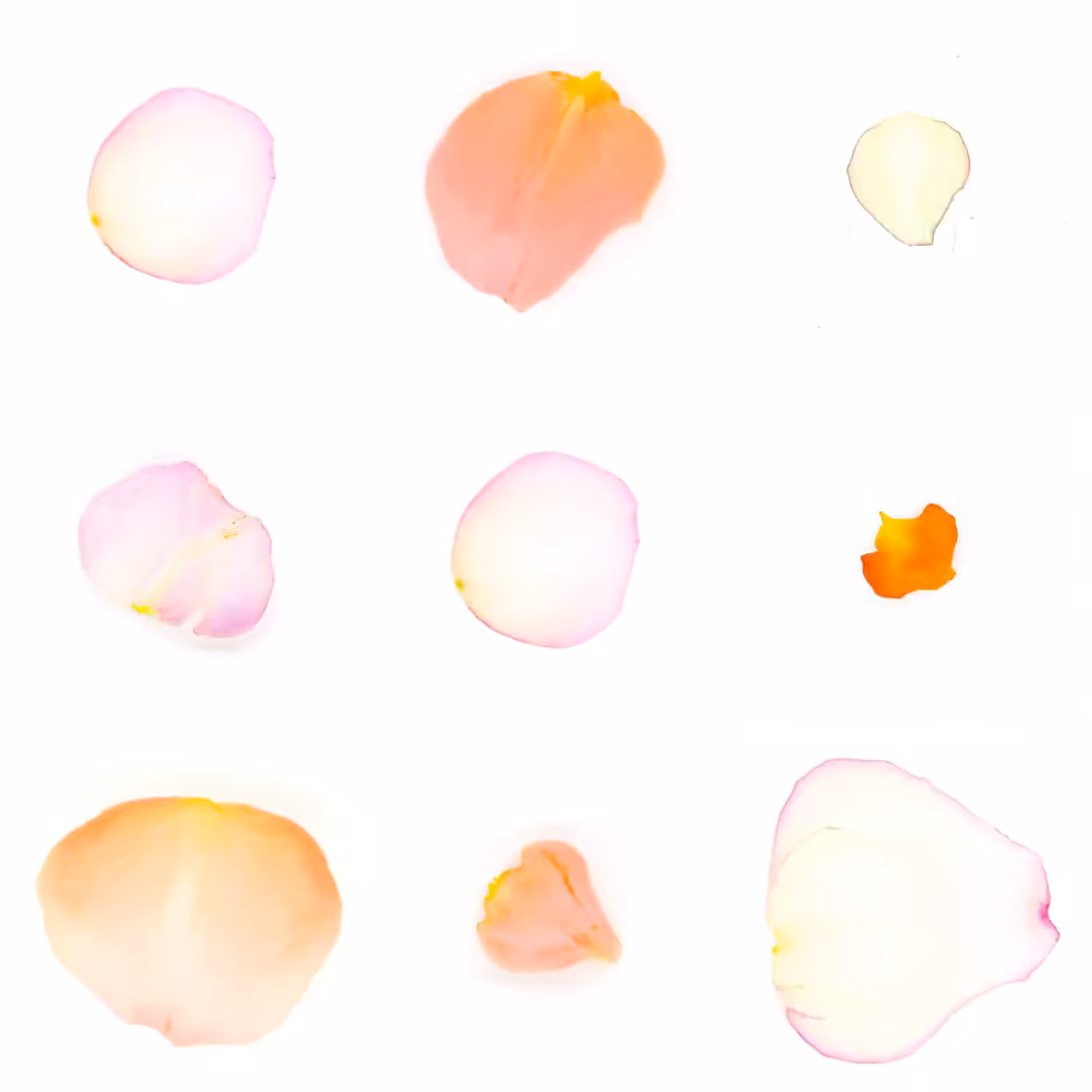 Infinite Petals 3x3#20268