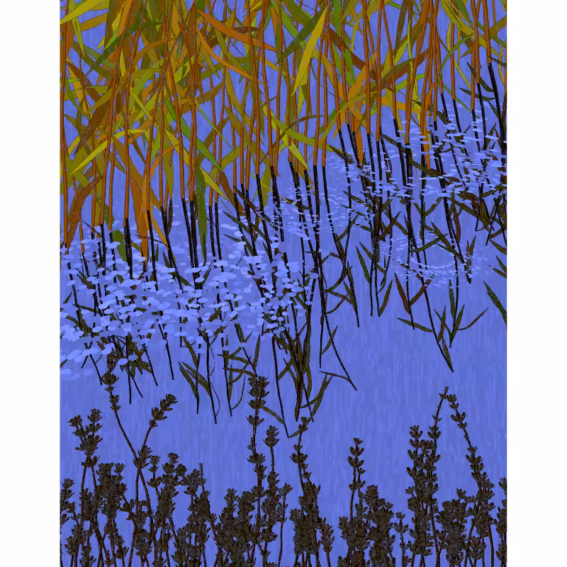 Reflecting pools #49