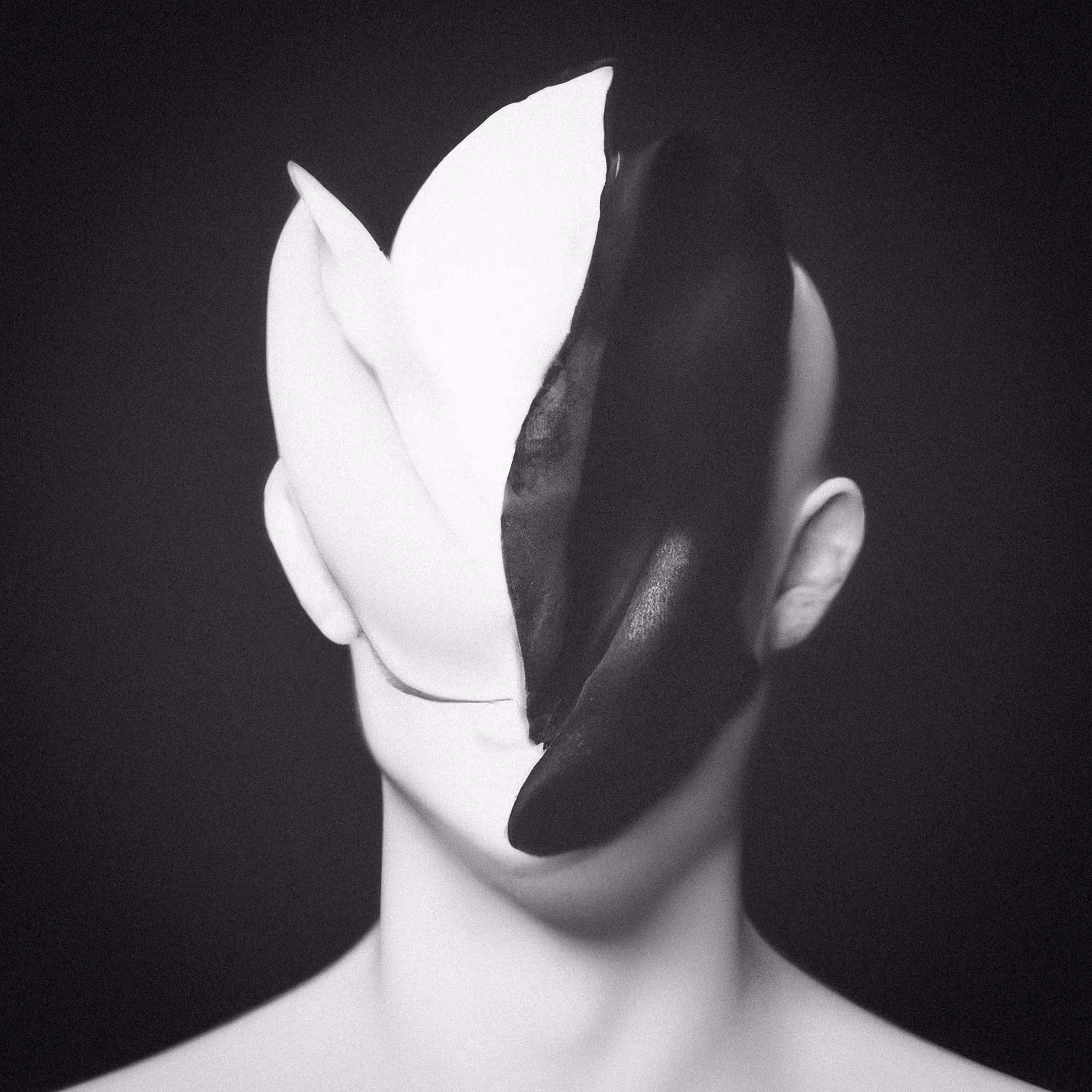 Figure / No 01