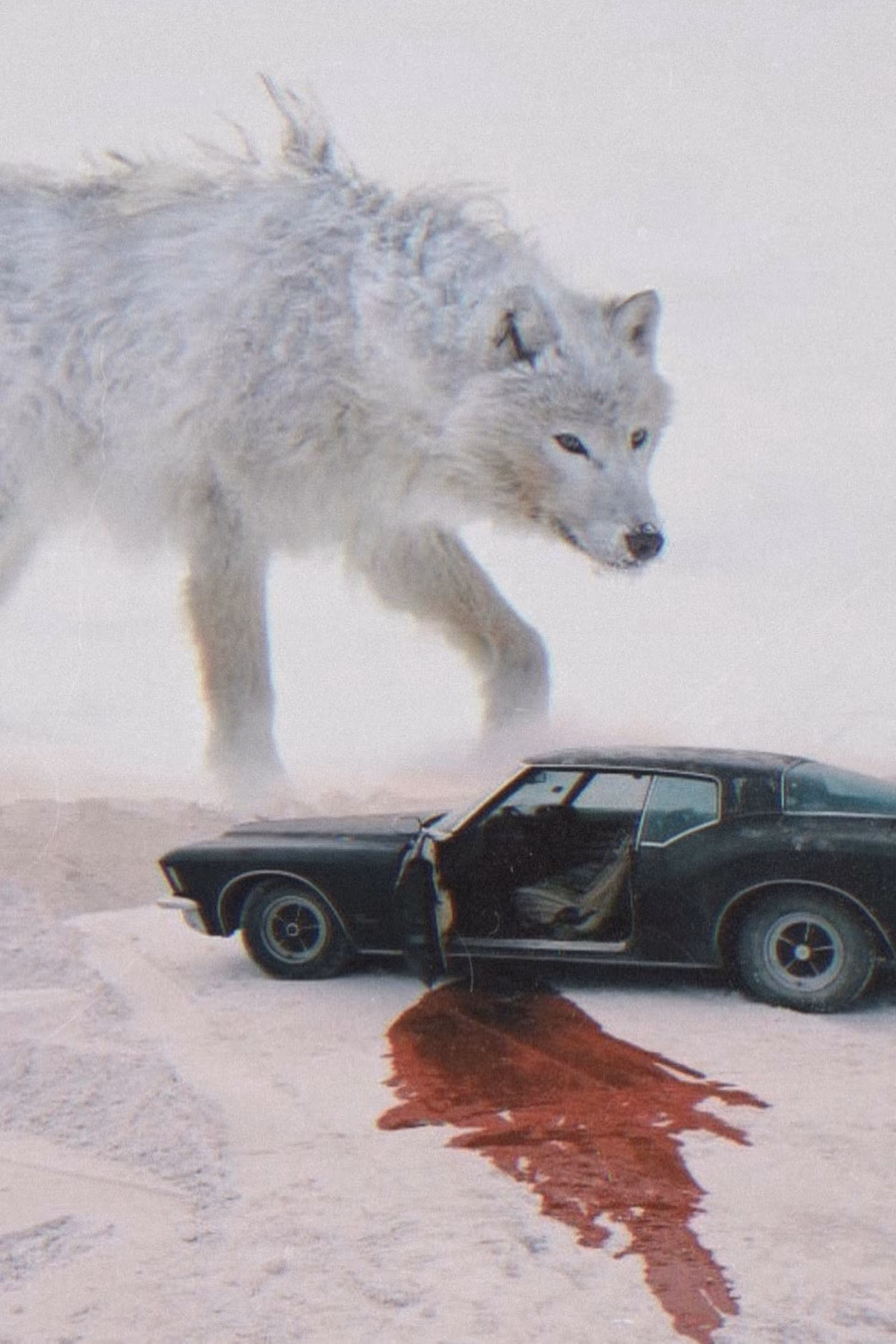 Wolf Like Me