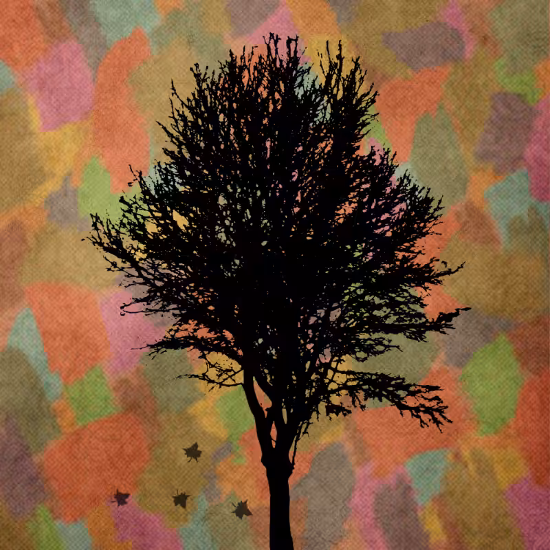 Autumn #7