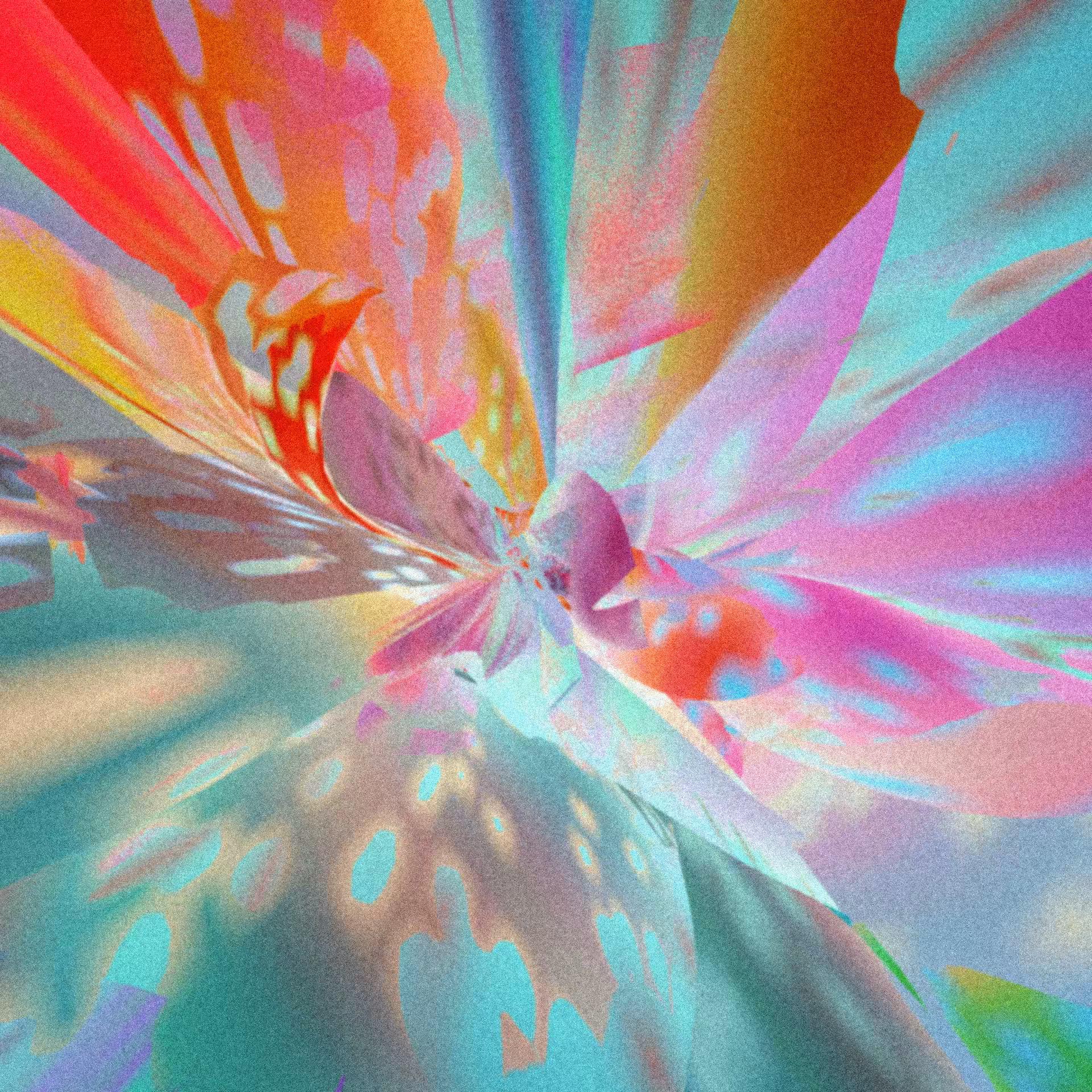 Moon Dance 002