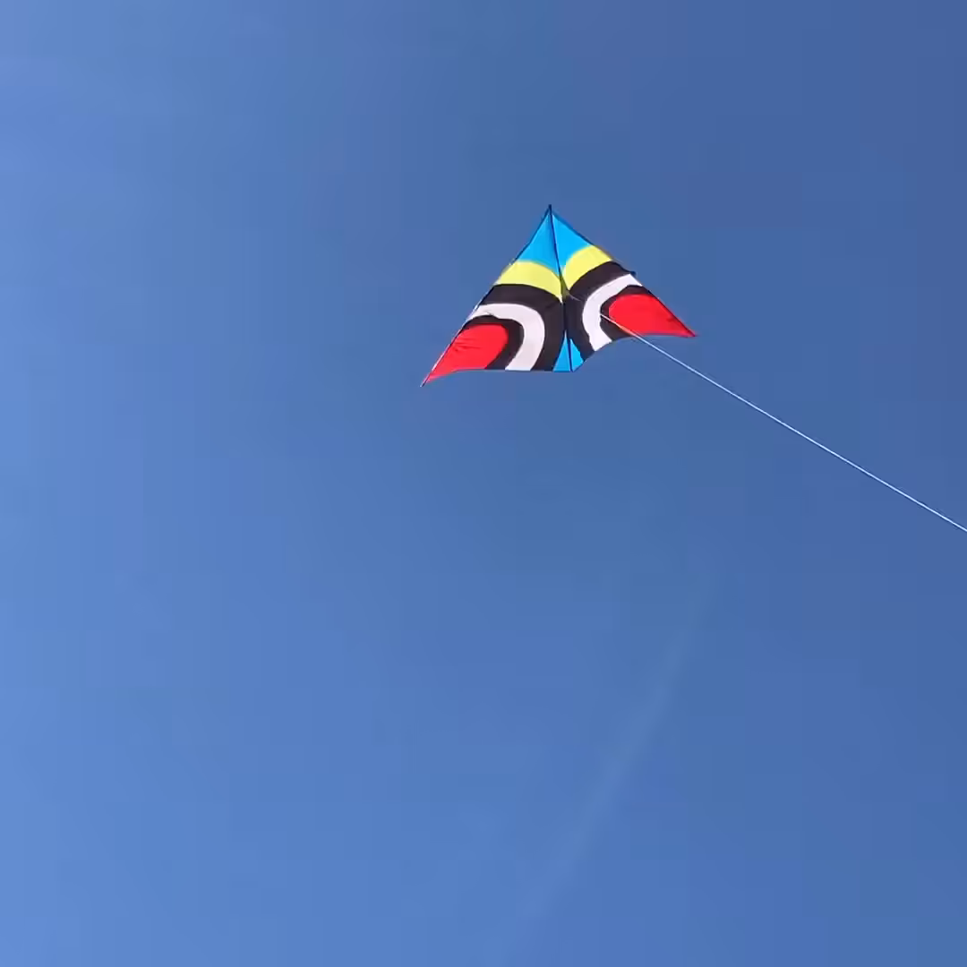 Flying a Kite