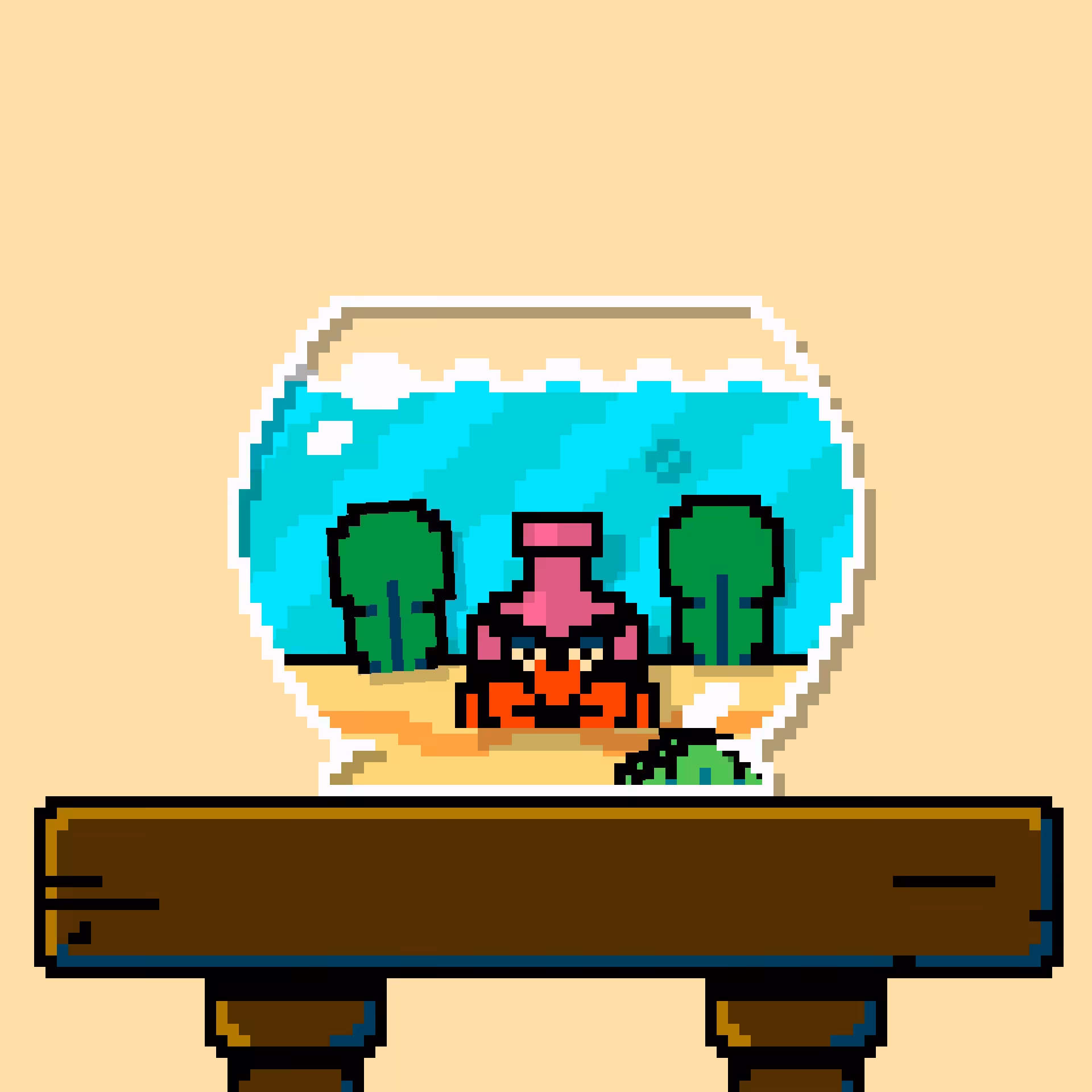 hermit crab #164