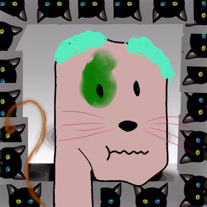 hi CAT lucas #8