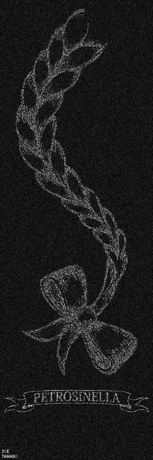 Petrosinella
