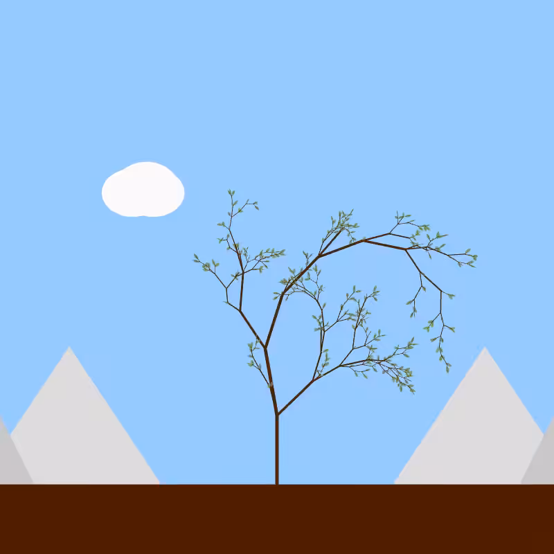From seedling to tree #38