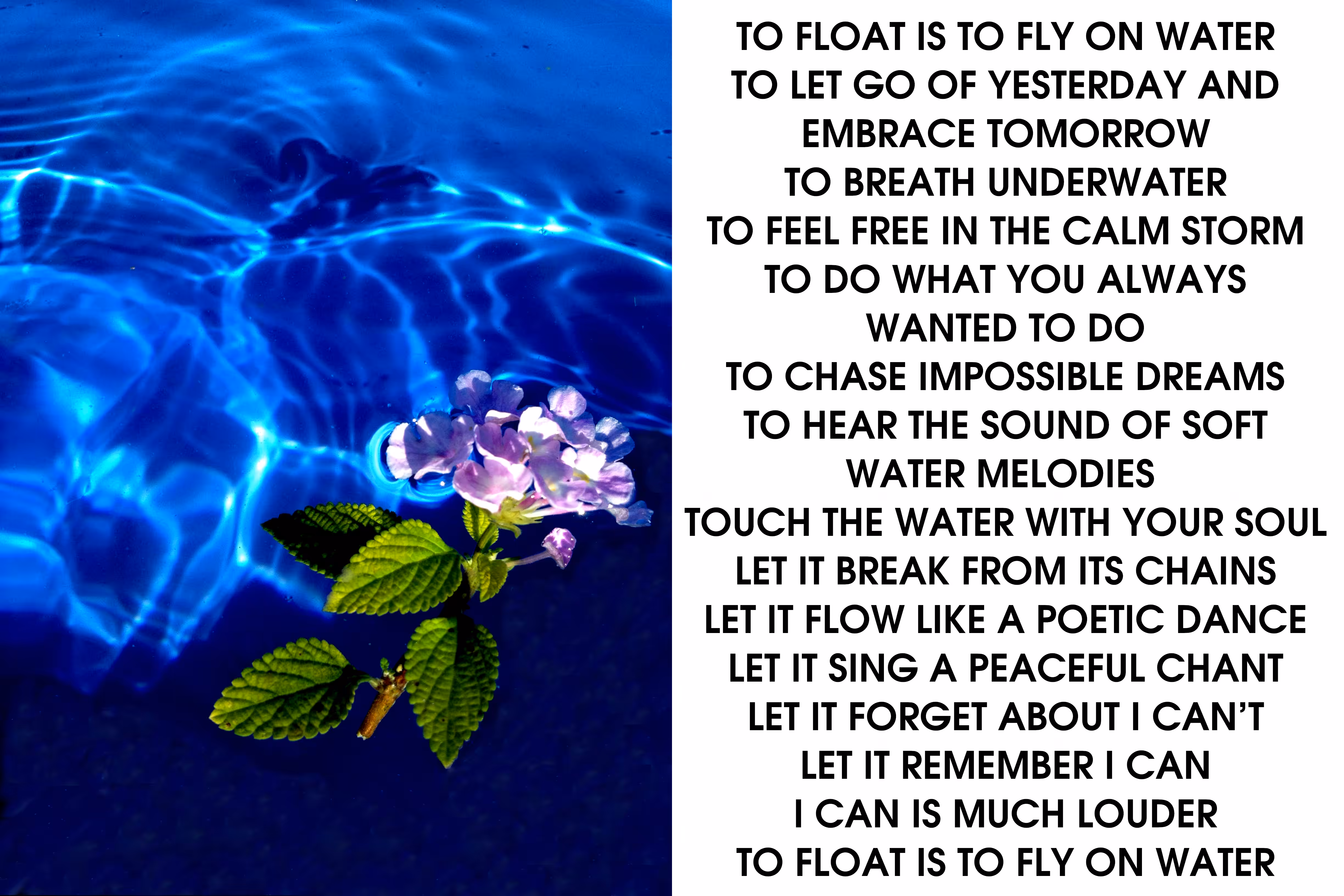 Photo Po M For Legends: To Float Is To Fly On Water