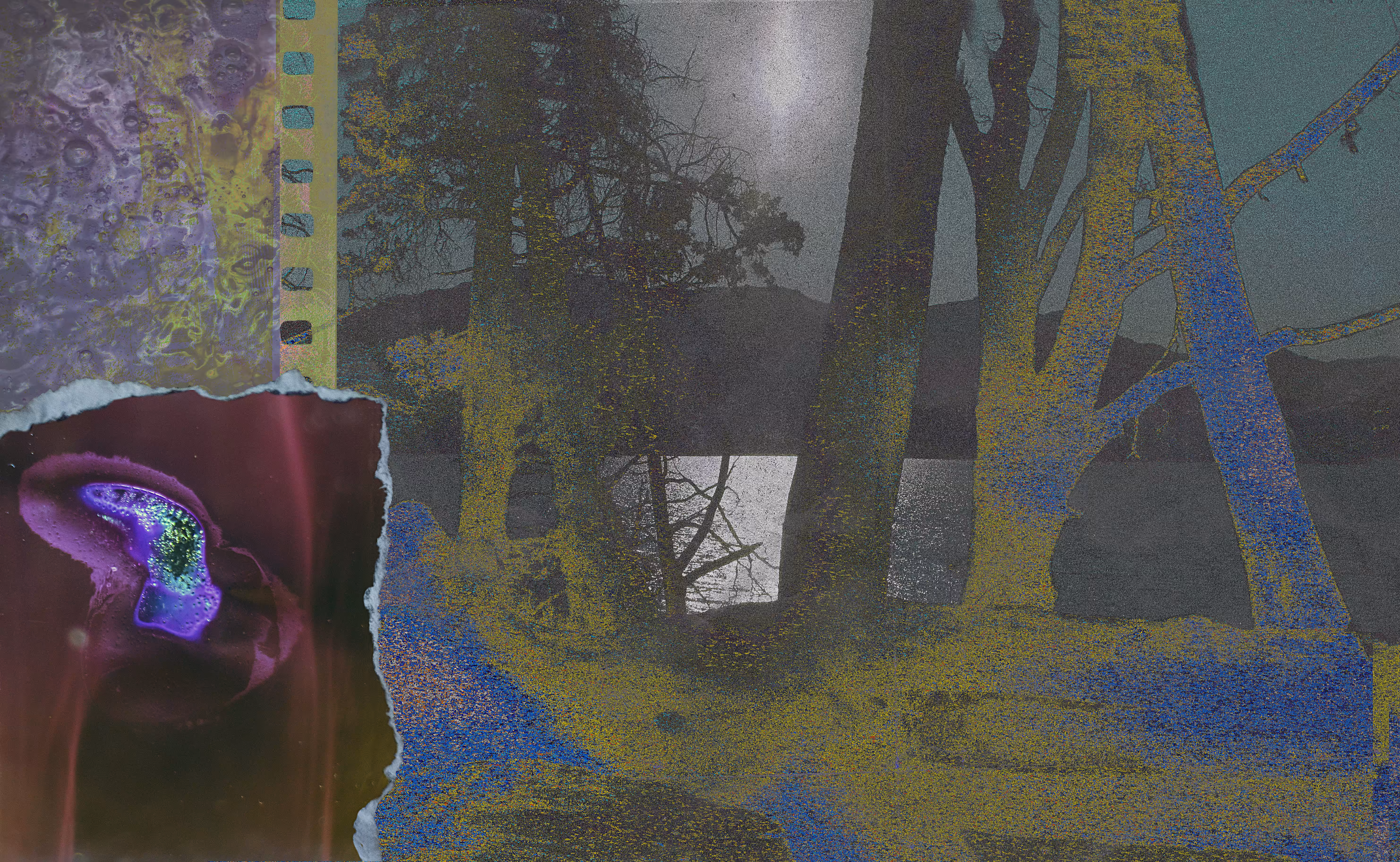 Postcard #++*_-mW