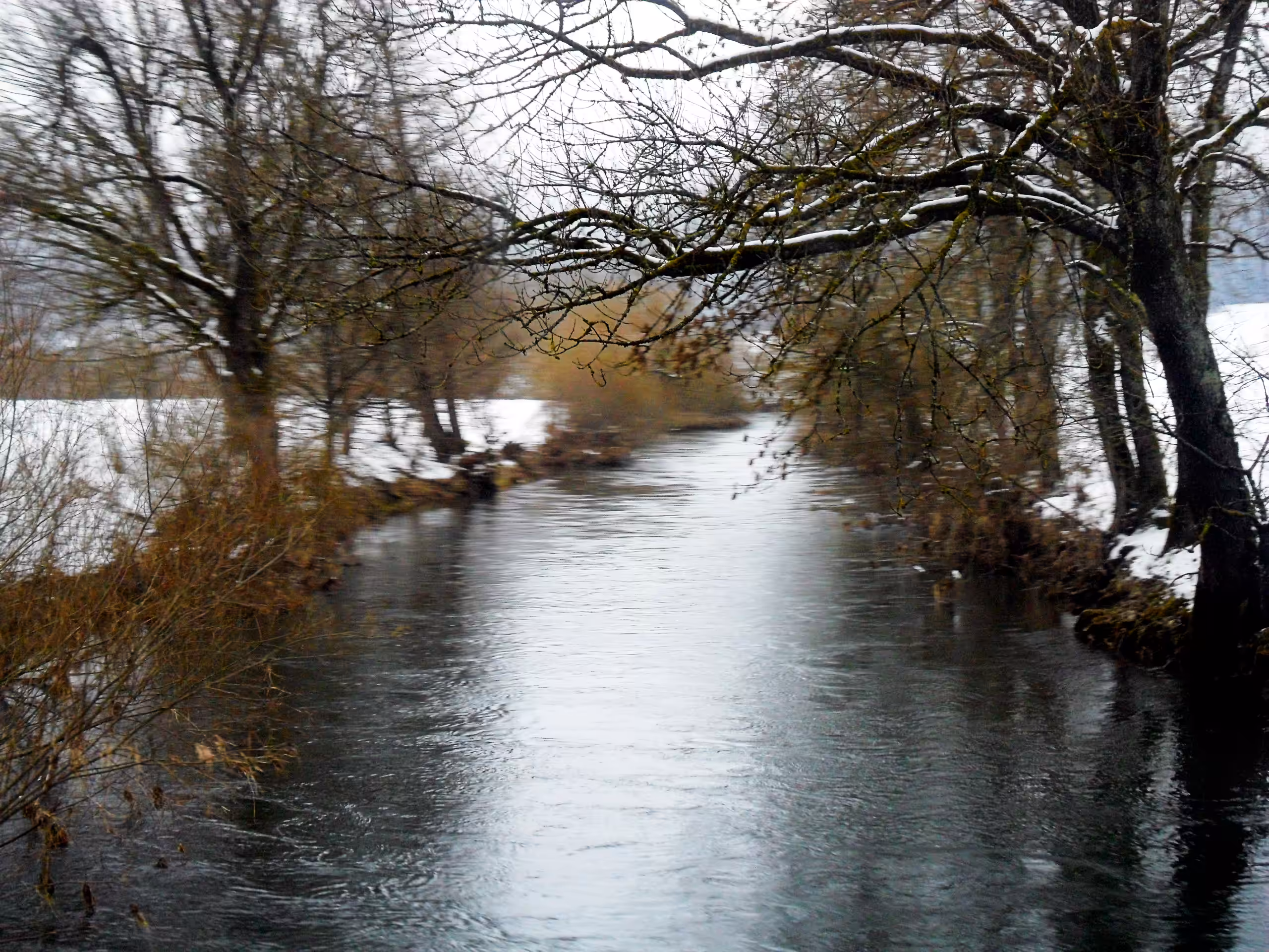 the danube