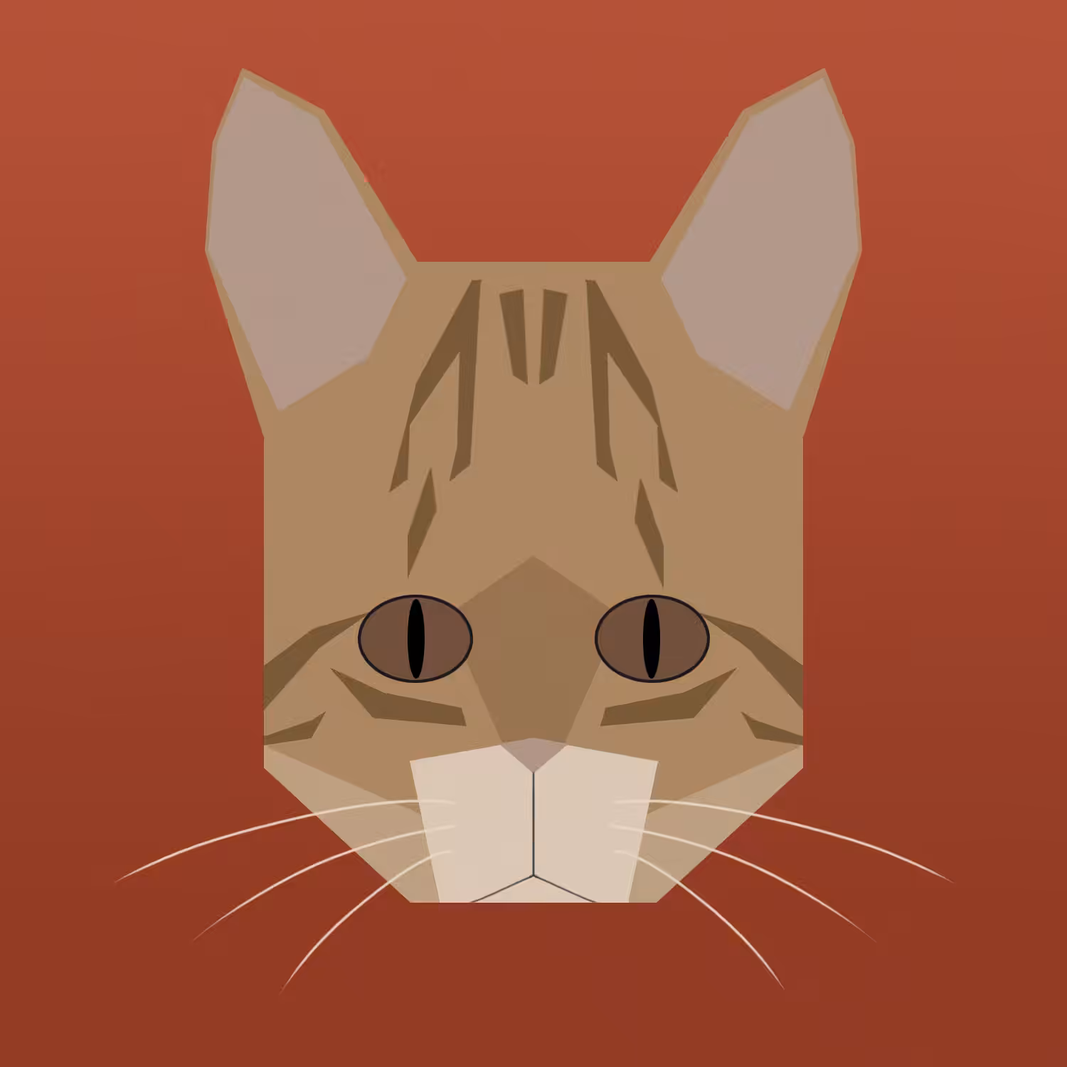 kitty #25 - brazilian shorhair