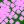 nugget cluster