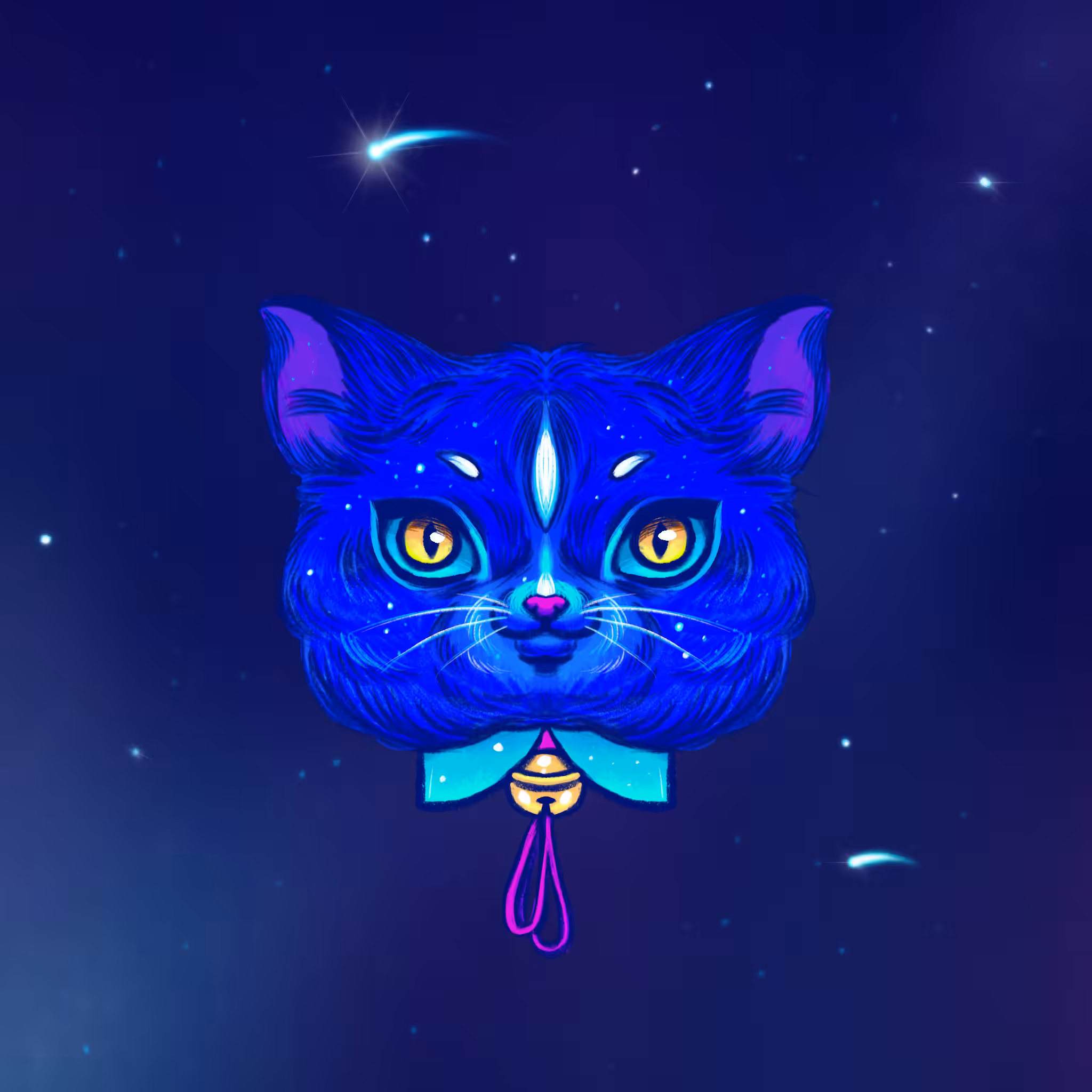 Cat 008