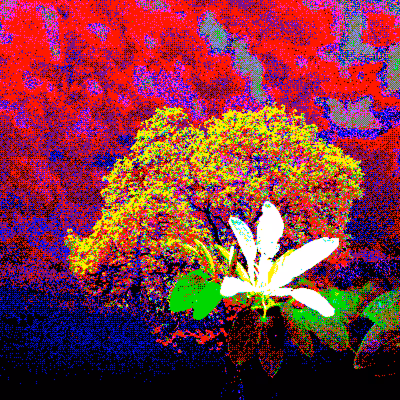 Garden of the republic ✿ #9