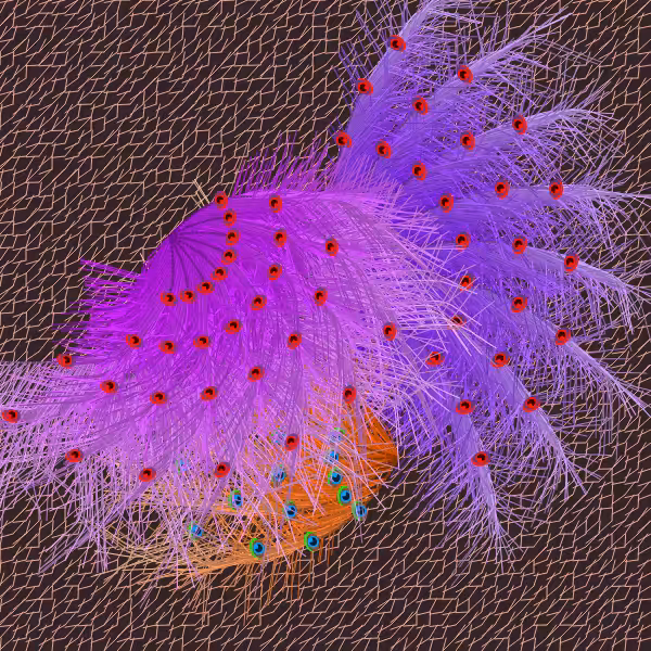 Oriental Peafowl Impression #13