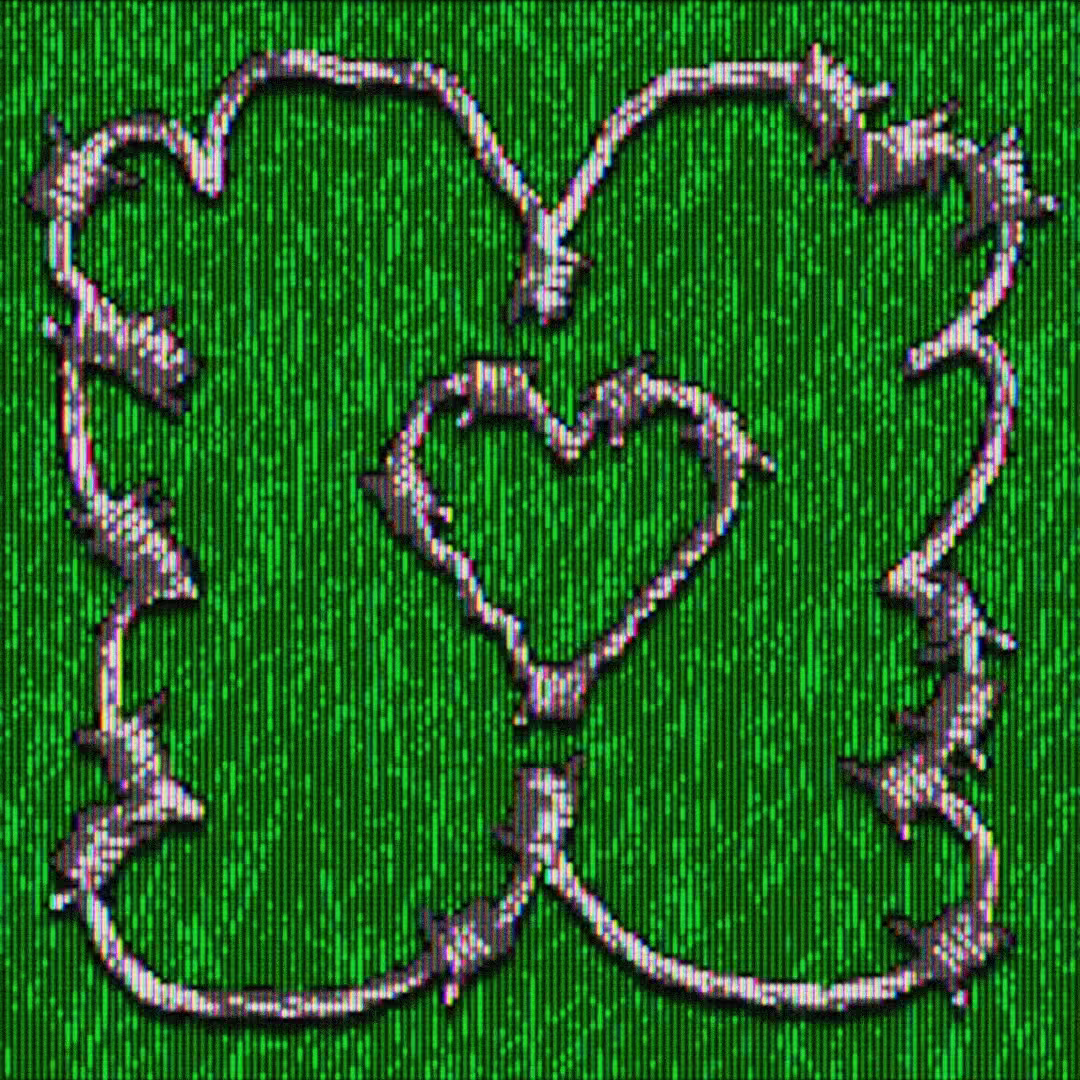 Barbed Wire Grass