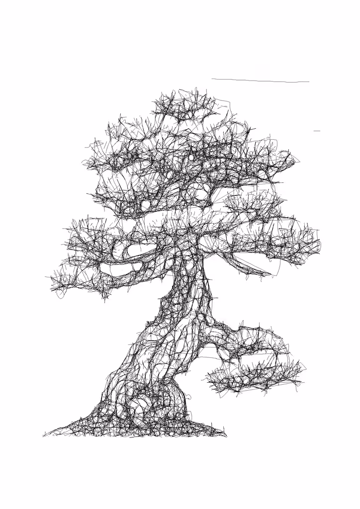 Bonsai pine tree II