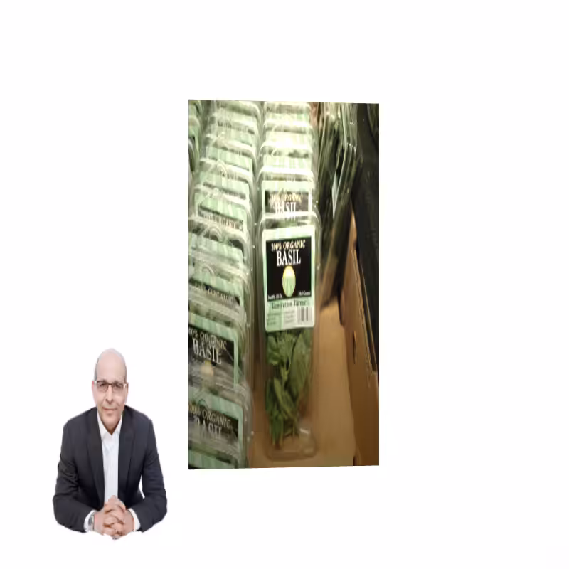 ART BASIL 2022 #101