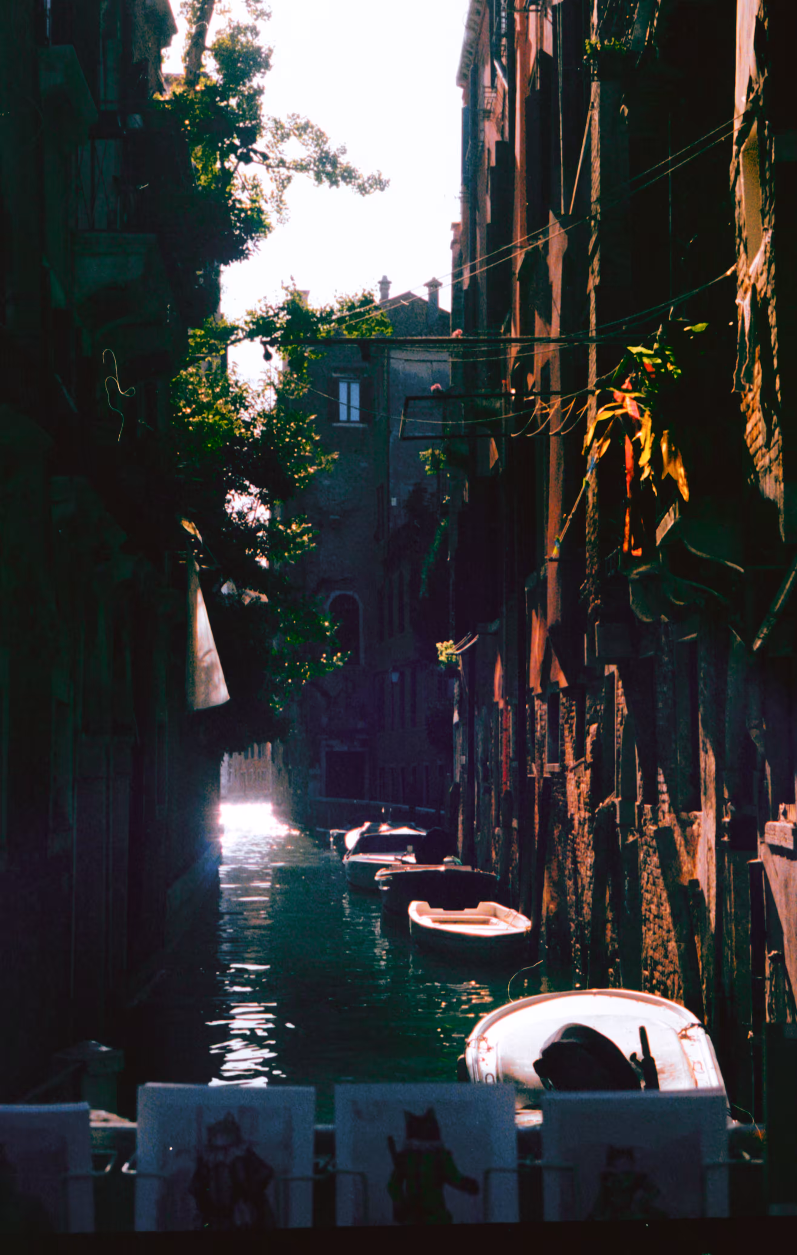 follow the light