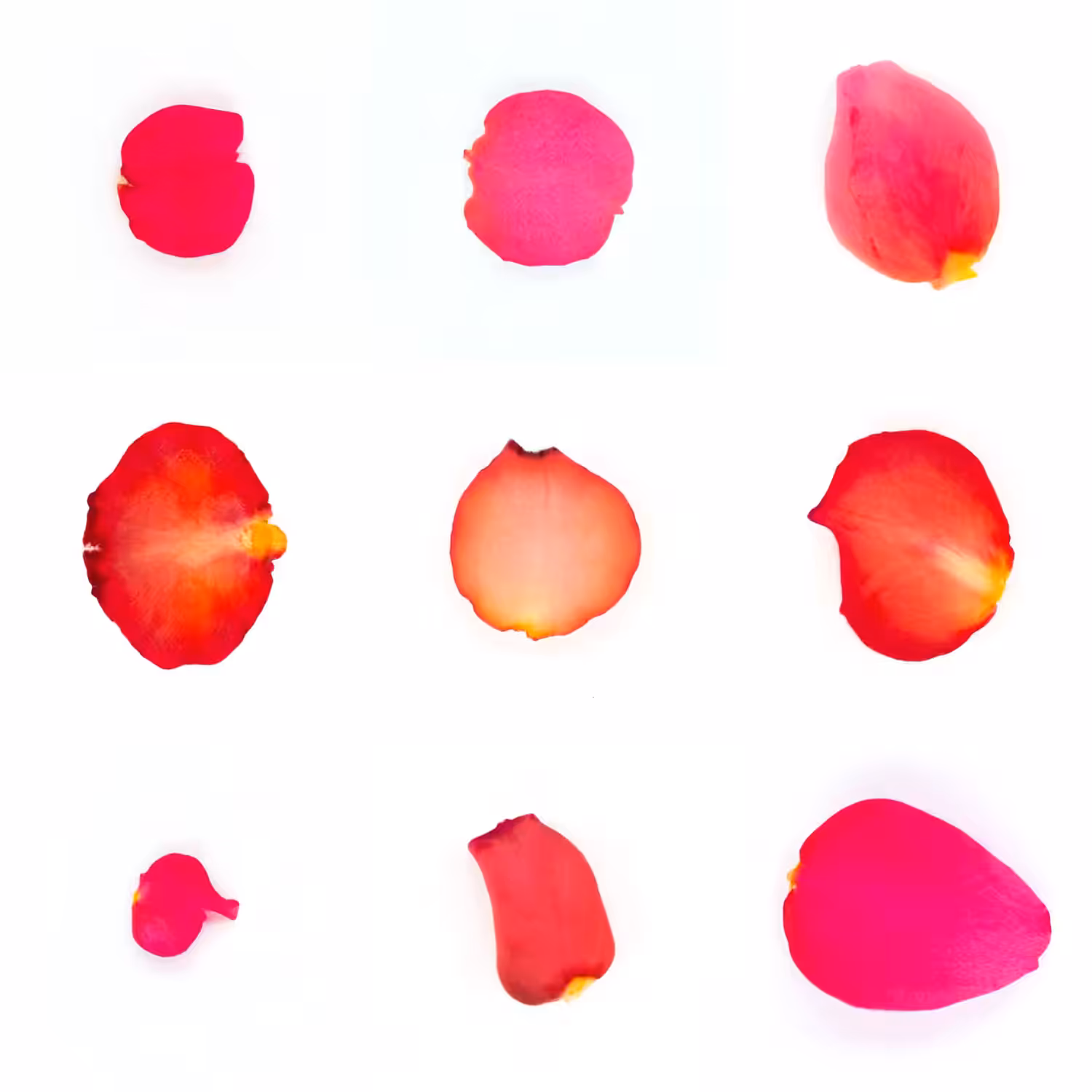 Infinite Petals 3x3#3475