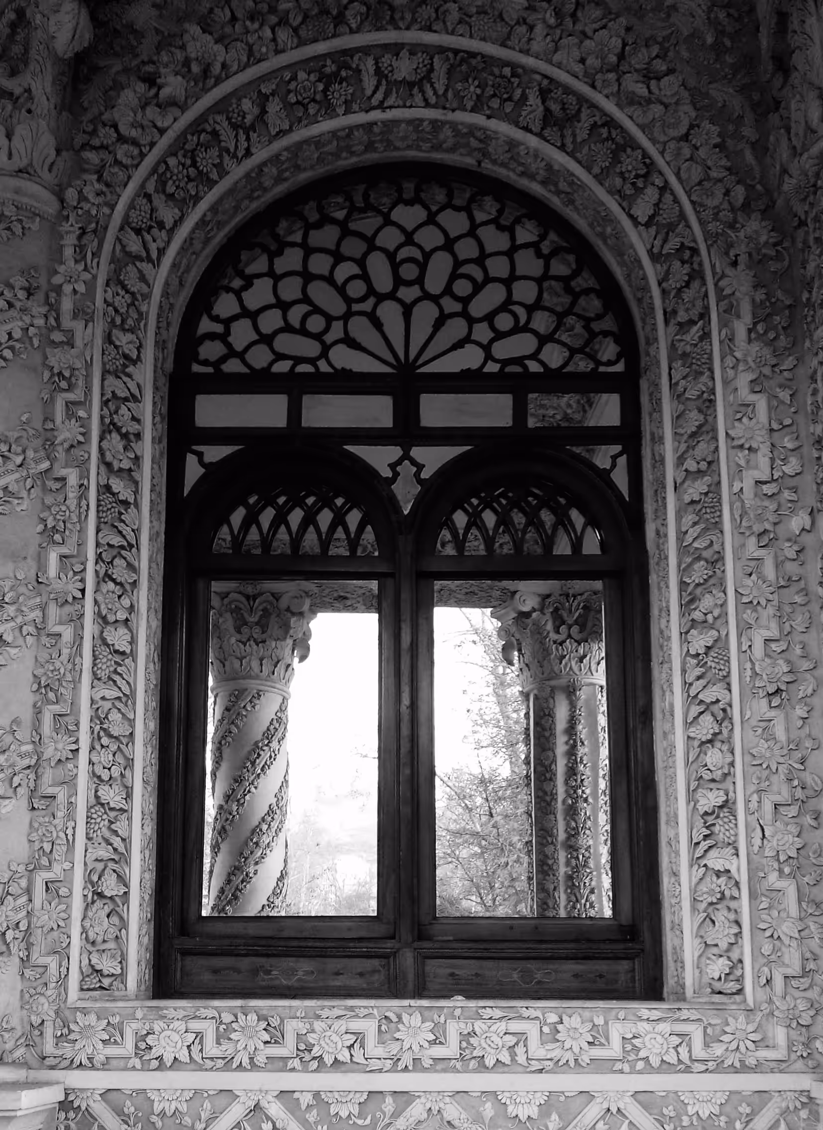 Beautiful Window