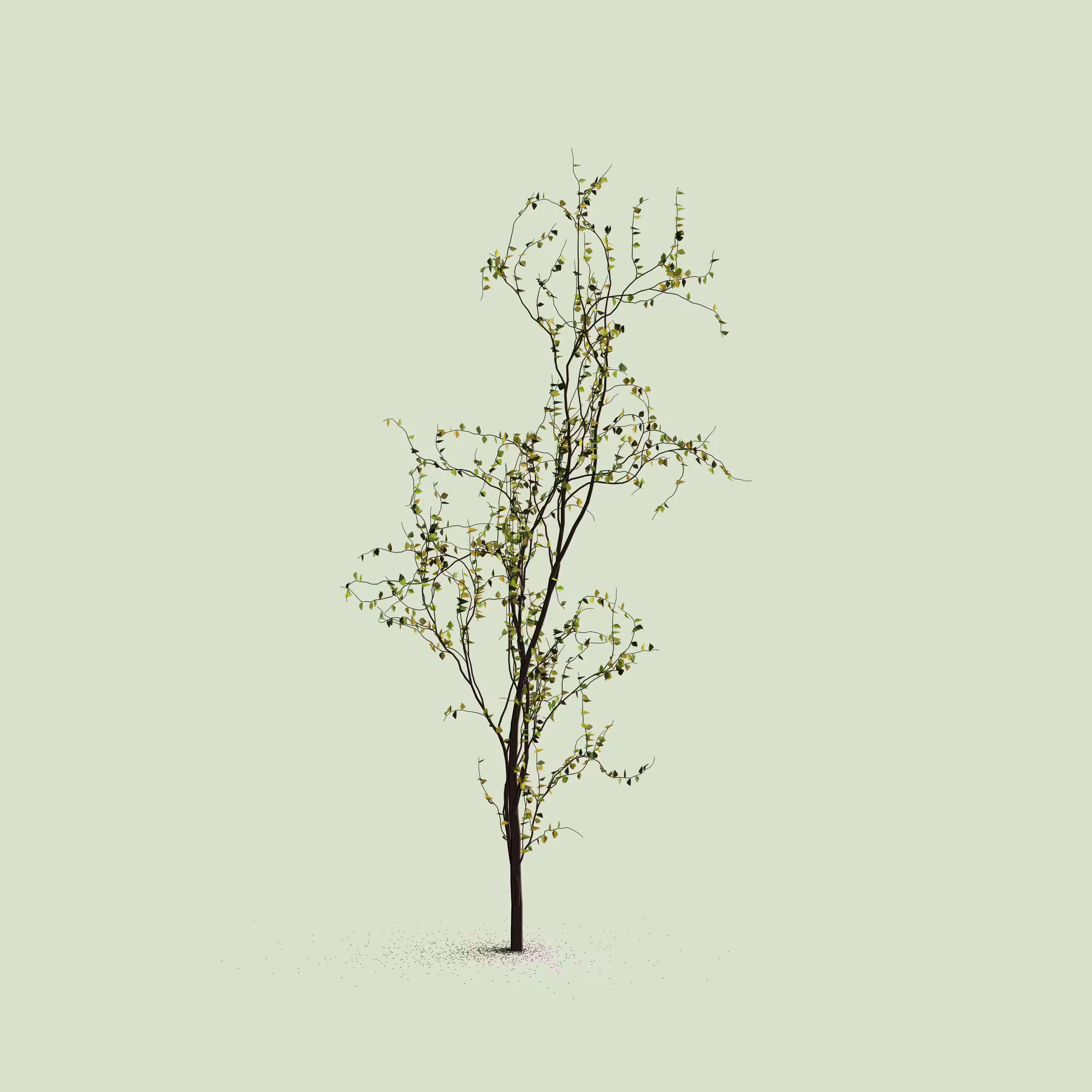 Little Trees #9